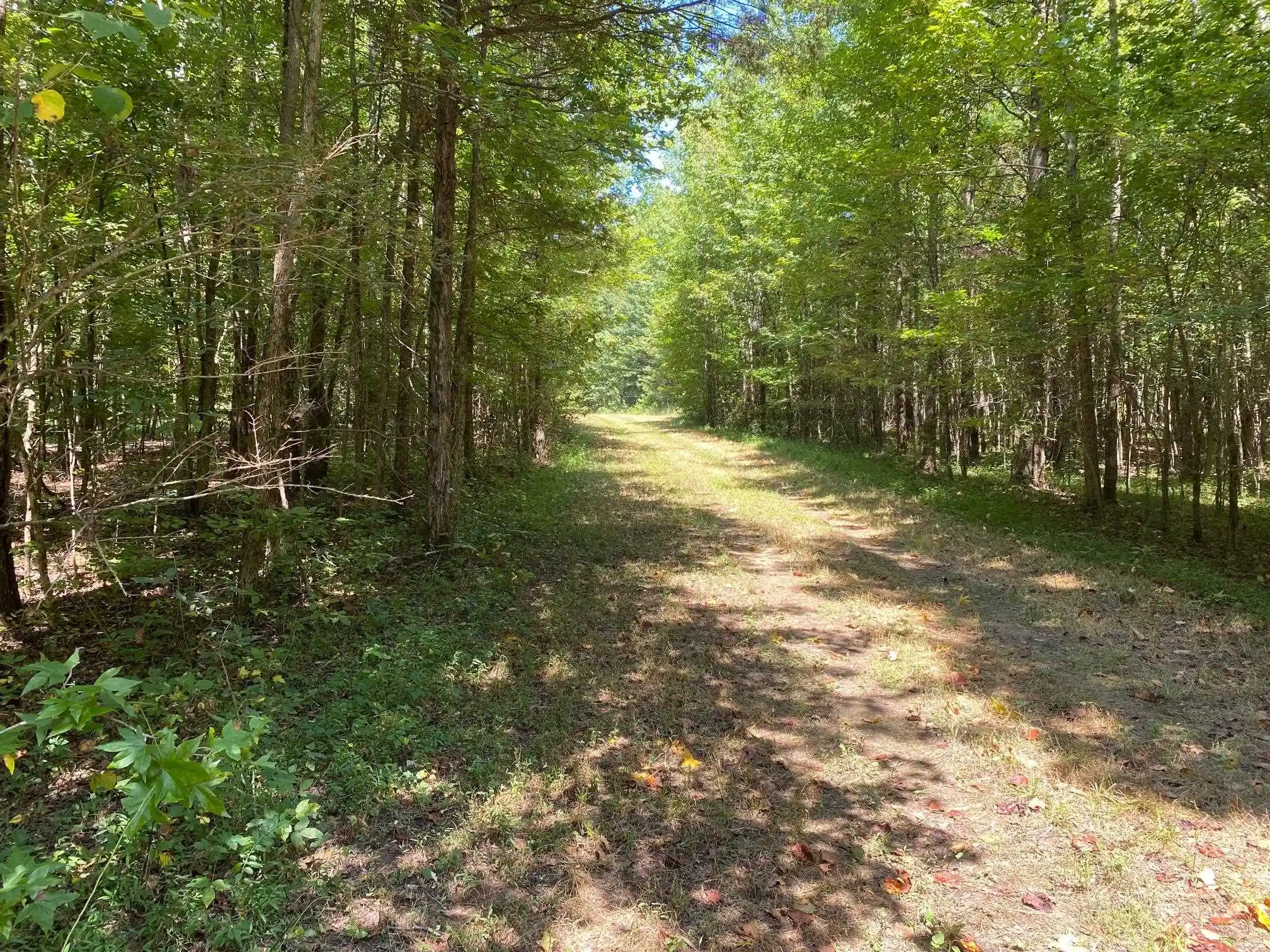 Land for sale at Oak Grove Ln, Henderson, TN 38340 | MLS# 10229310