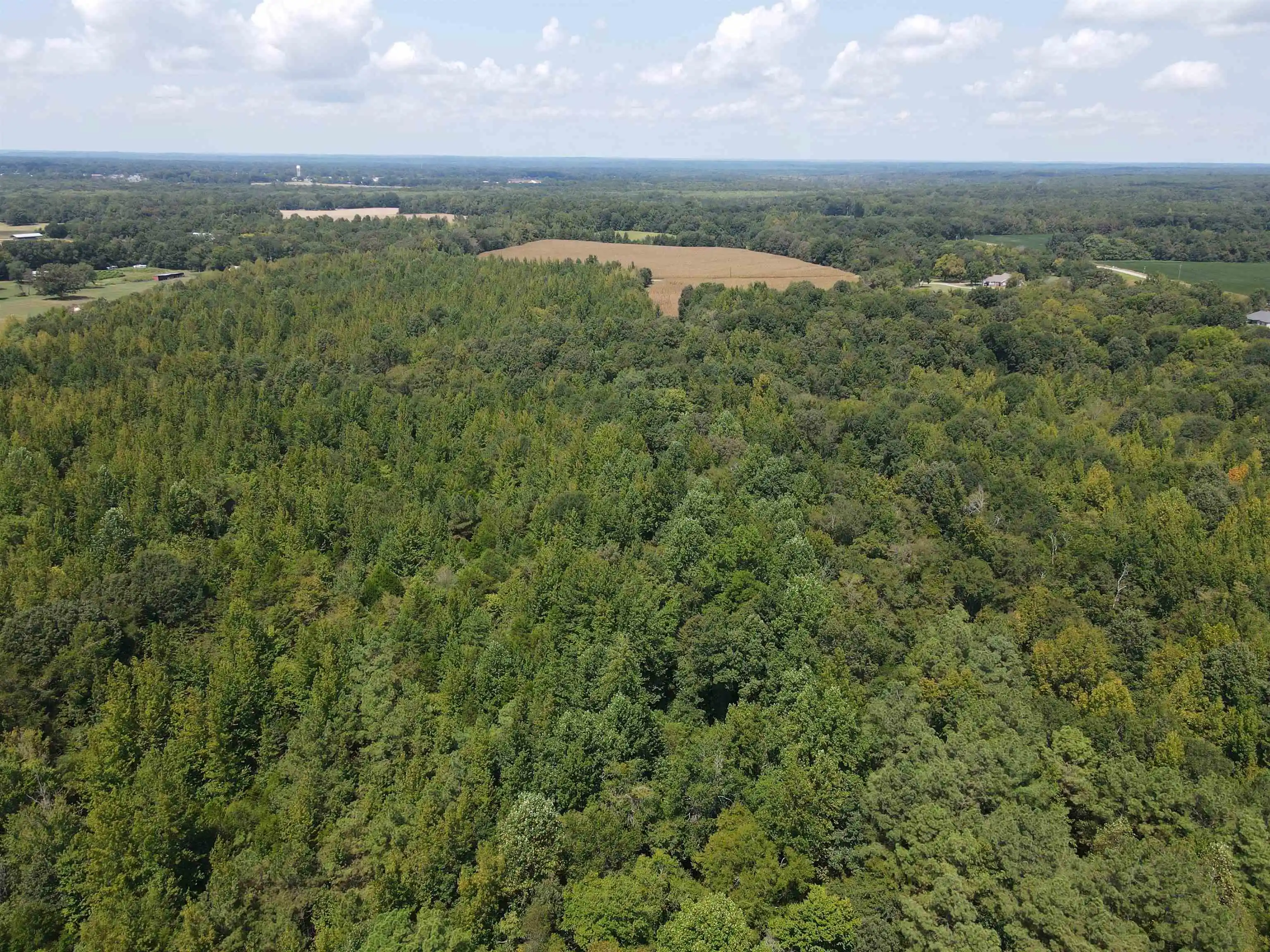 Photo 2 of Land for sale at Oak Grove Ln, Henderson, TN 38340 | MLS# 10229310 | Listing updated on 2026-08-28