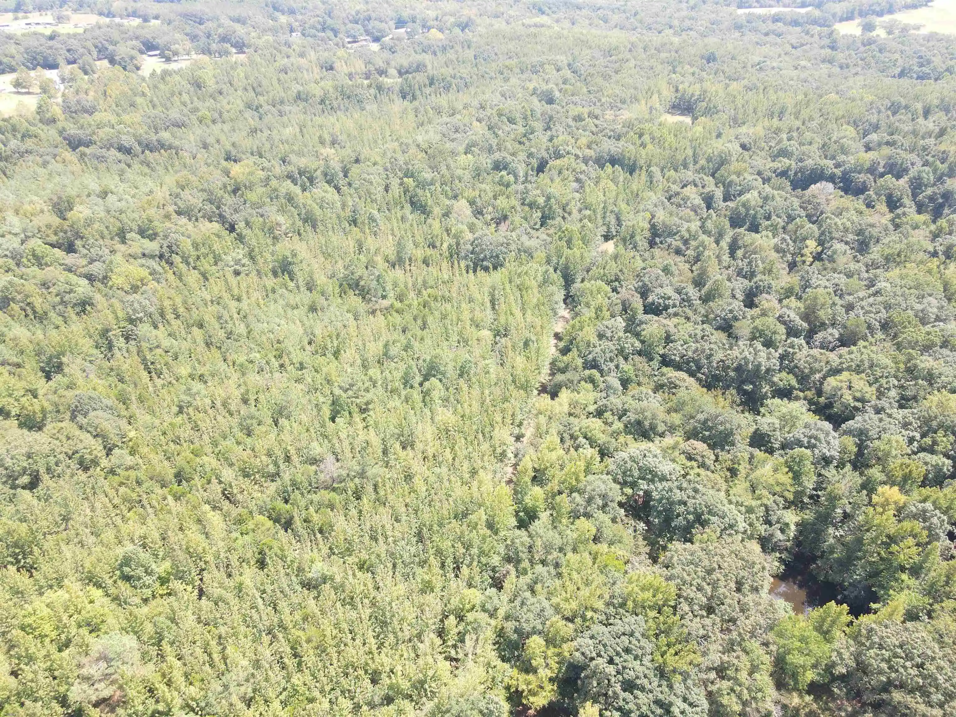 Photo 3 of Land for sale at Oak Grove Ln, Henderson, TN 38340 | MLS# 10229310 | Listing updated on 2026-08-28
