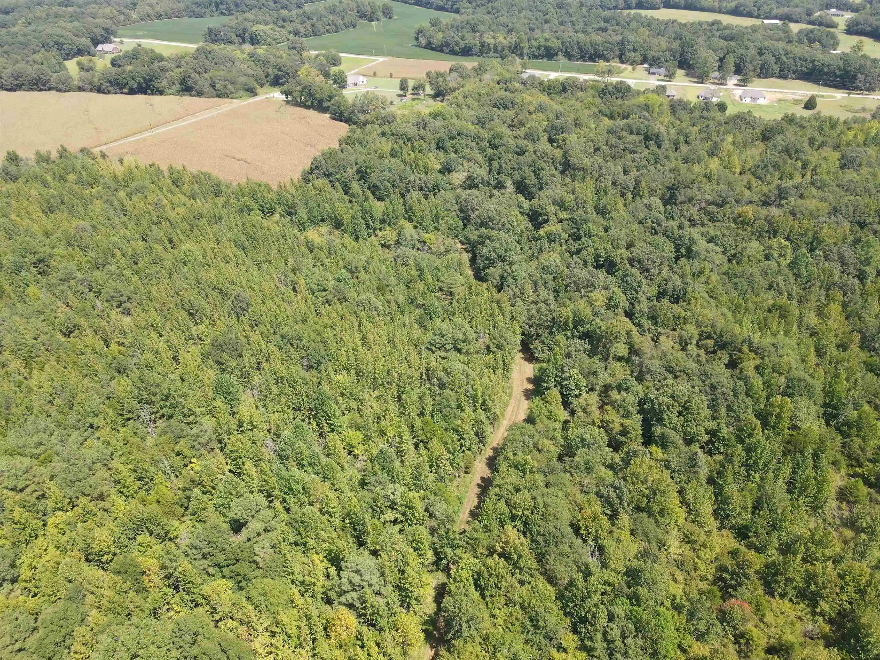 Photo 3 of Land for sale at Oak Grove Ln, Henderson, TN 38340 | MLS# 10229310 | Listing updated on 2026-08-28