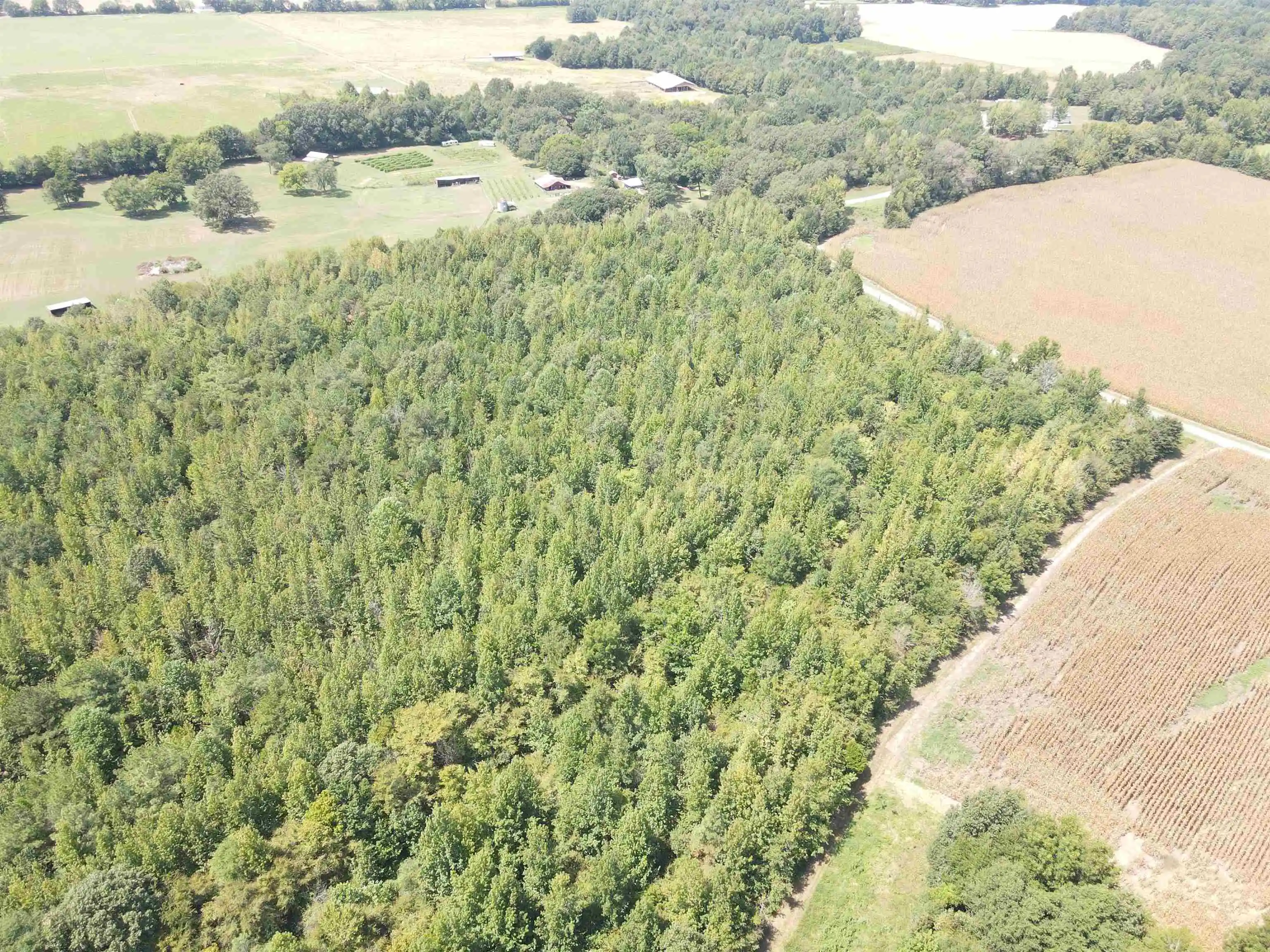 Photo 4 of Land for sale at Oak Grove Ln, Henderson, TN 38340 | MLS# 10229310 | Listing updated on 2026-08-28