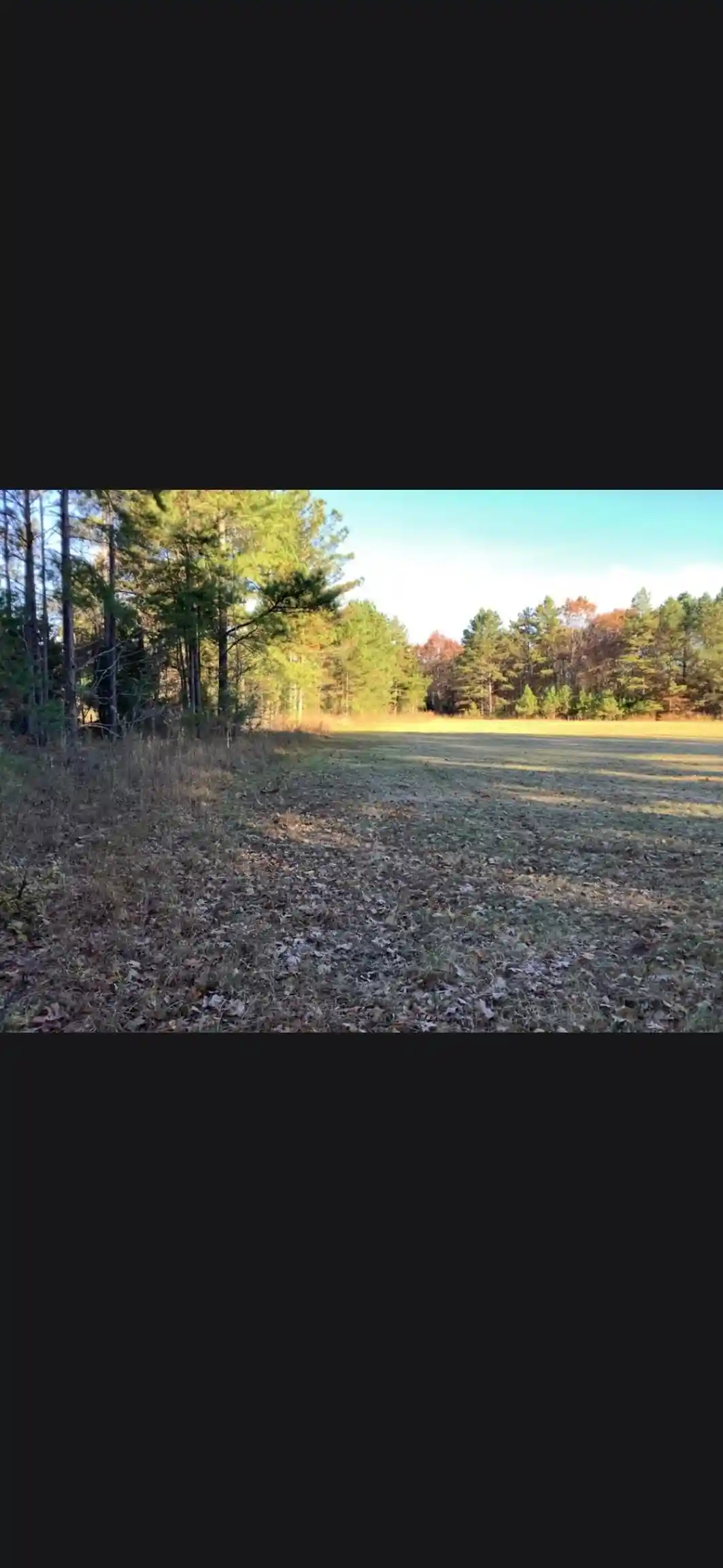 Photo 2 of Land for sale at 0 Bullock Rd, Holly Springs, MS 38635 | MLS# 10229349 | Listing updated on 2026-08-31
