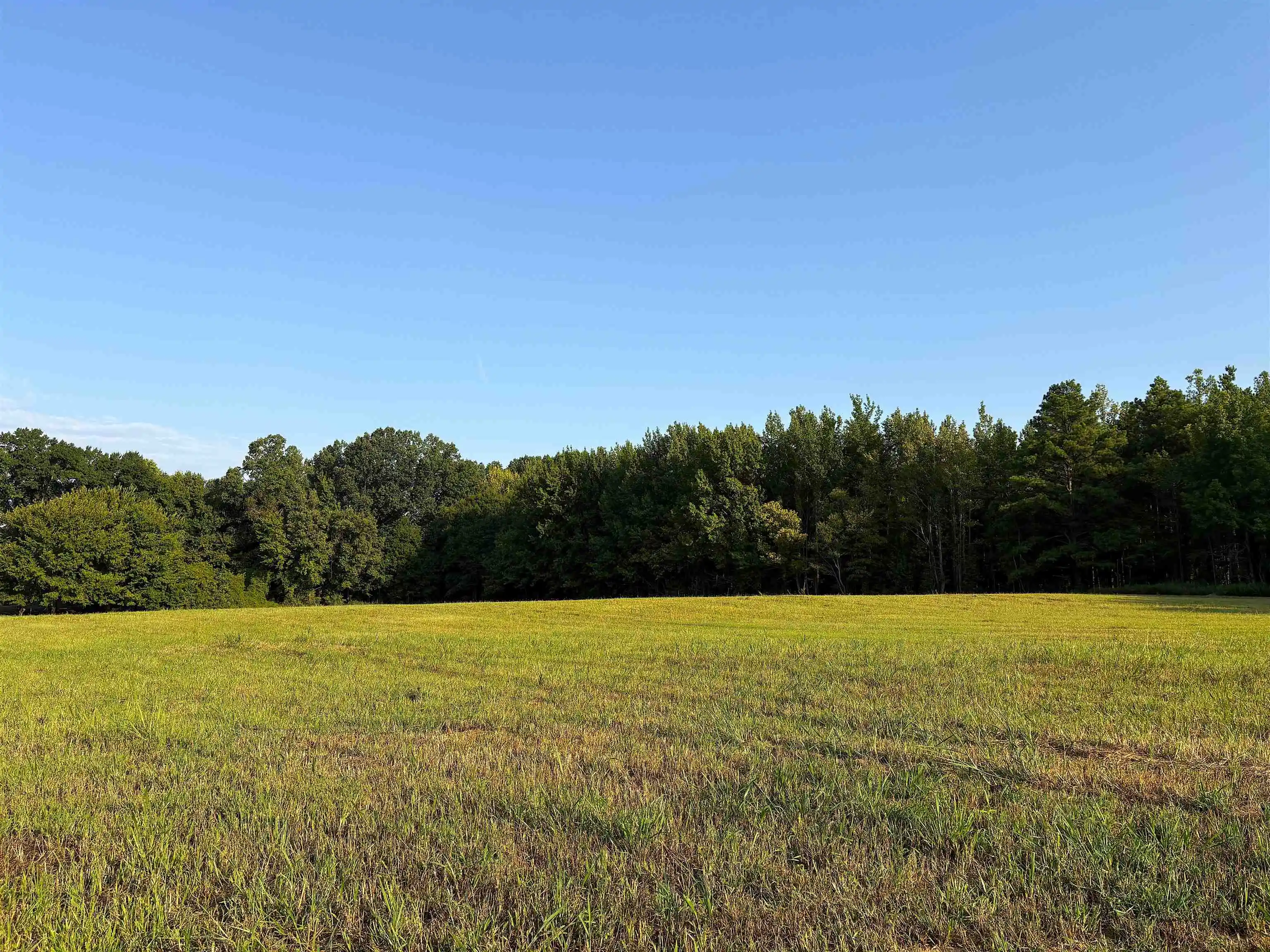 Photo 2 of Land for sale at 6195 Ricks Rd, Arlington, TN 38002 | MLS# 10229361 | Listing updated on 2026-08-29