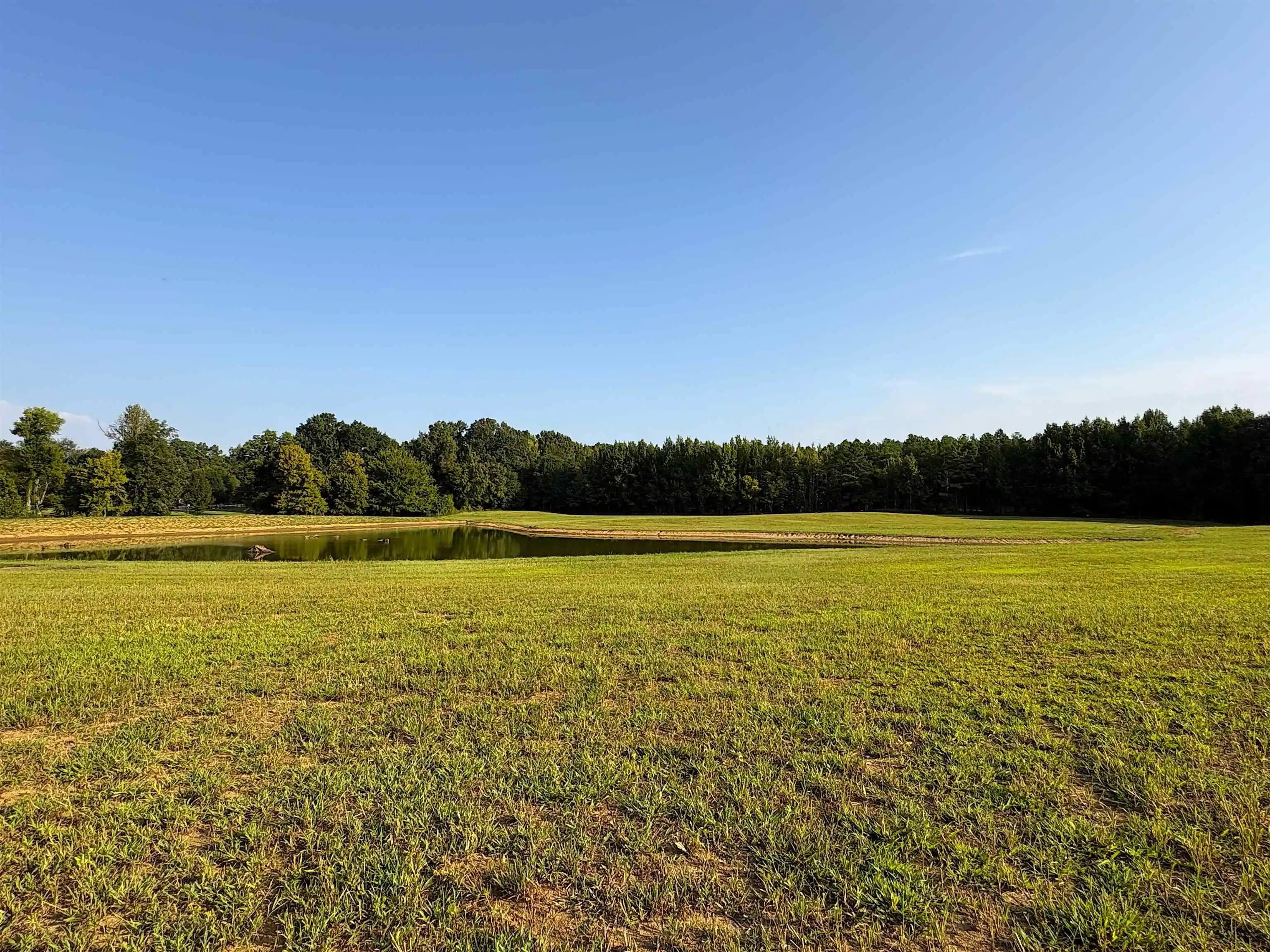 Photo 3 of Land for sale at 6195 Ricks Rd, Arlington, TN 38002 | MLS# 10229361 | Listing updated on 2026-08-29