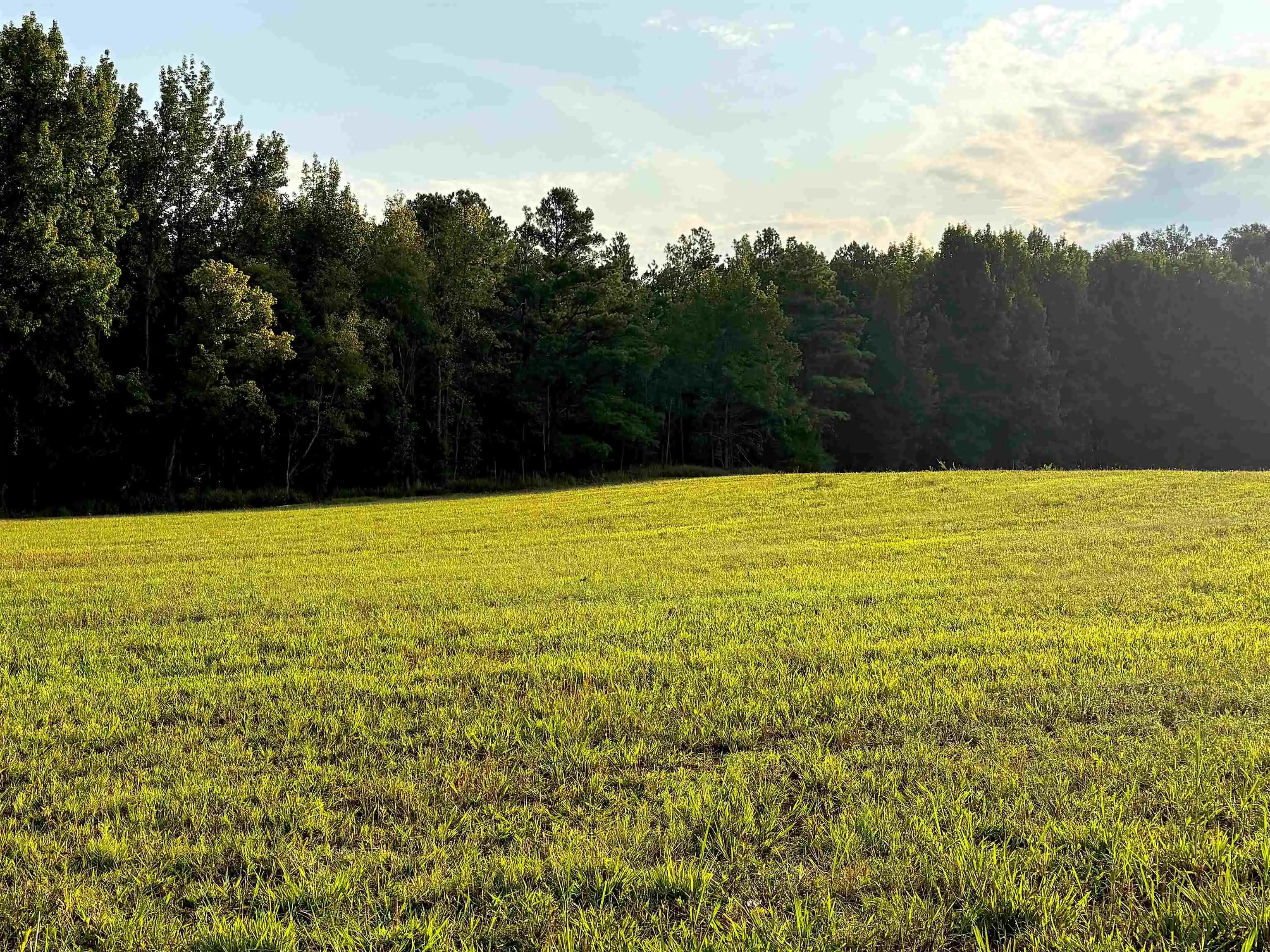 Photo 3 of Land for sale at 6195 Ricks Rd, Arlington, TN 38002 | MLS# 10229361 | Listing updated on 2026-08-29