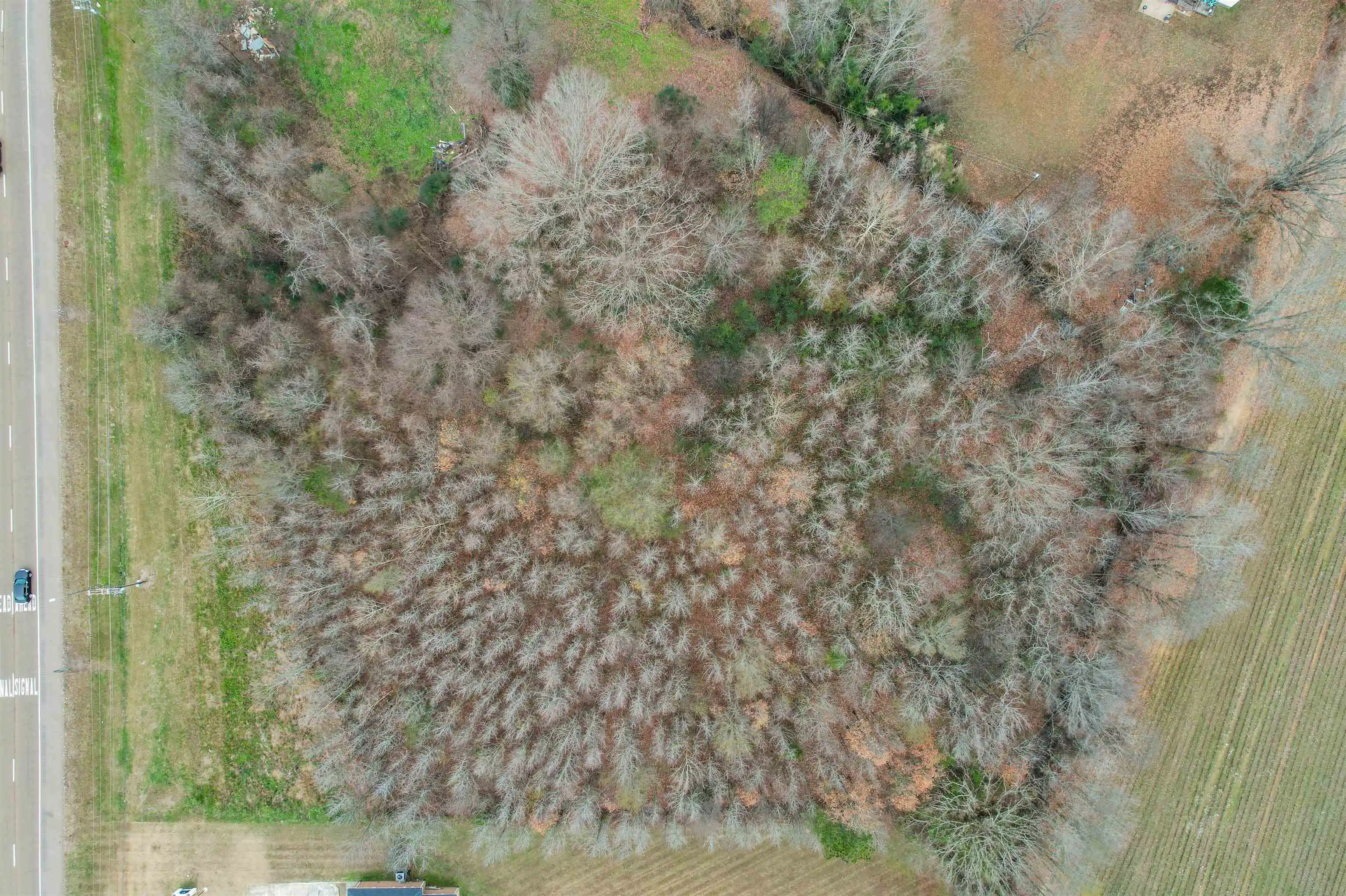Photo 4 of Land for sale at 1020 Mulberry Ave, Selmer, TN 38375 | MLS# 10229364 | Listing updated on 2026-08-29