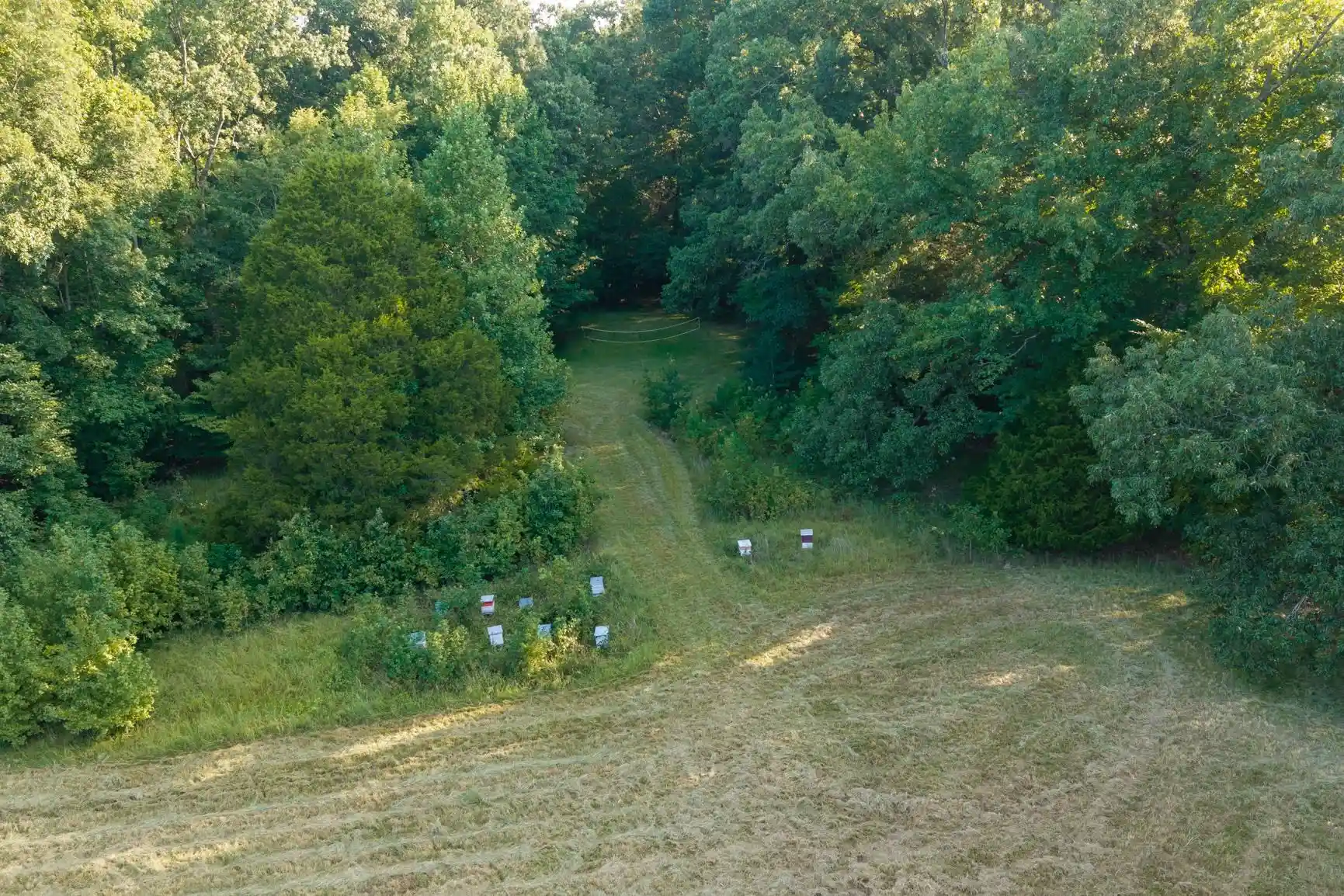 Photo 2 of Land for sale at 0 Oak Rd, Bartlett, TN 38002 | MLS# 10229379 | Listing updated on 2026-08-29