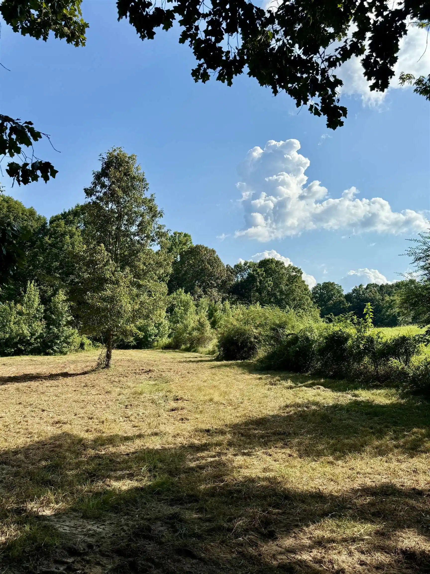 Photo 3 of Land for sale at 2360 Burnette Rd, Williston, TN 38076 | MLS# 10229490 | Listing updated on 2026-09-19