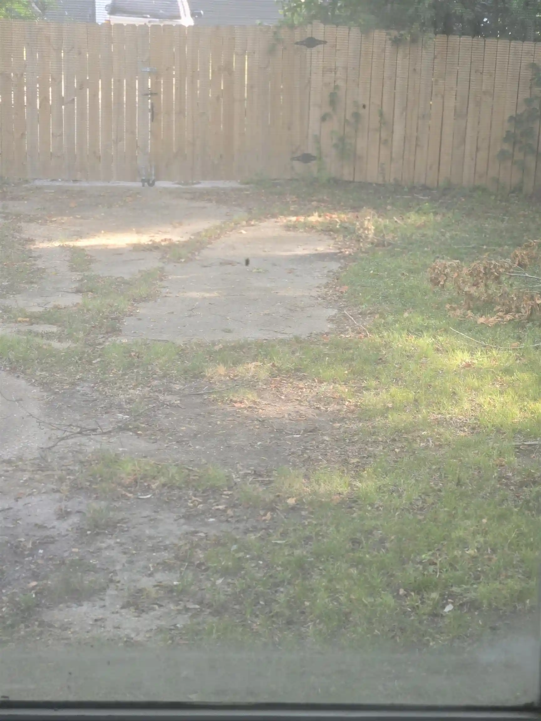 Photo 3 of Single family home for sale at 1707 Nelson Ave, Memphis, TN 38114 | MLS# 10229562 | Listing updated on 2026-10-06