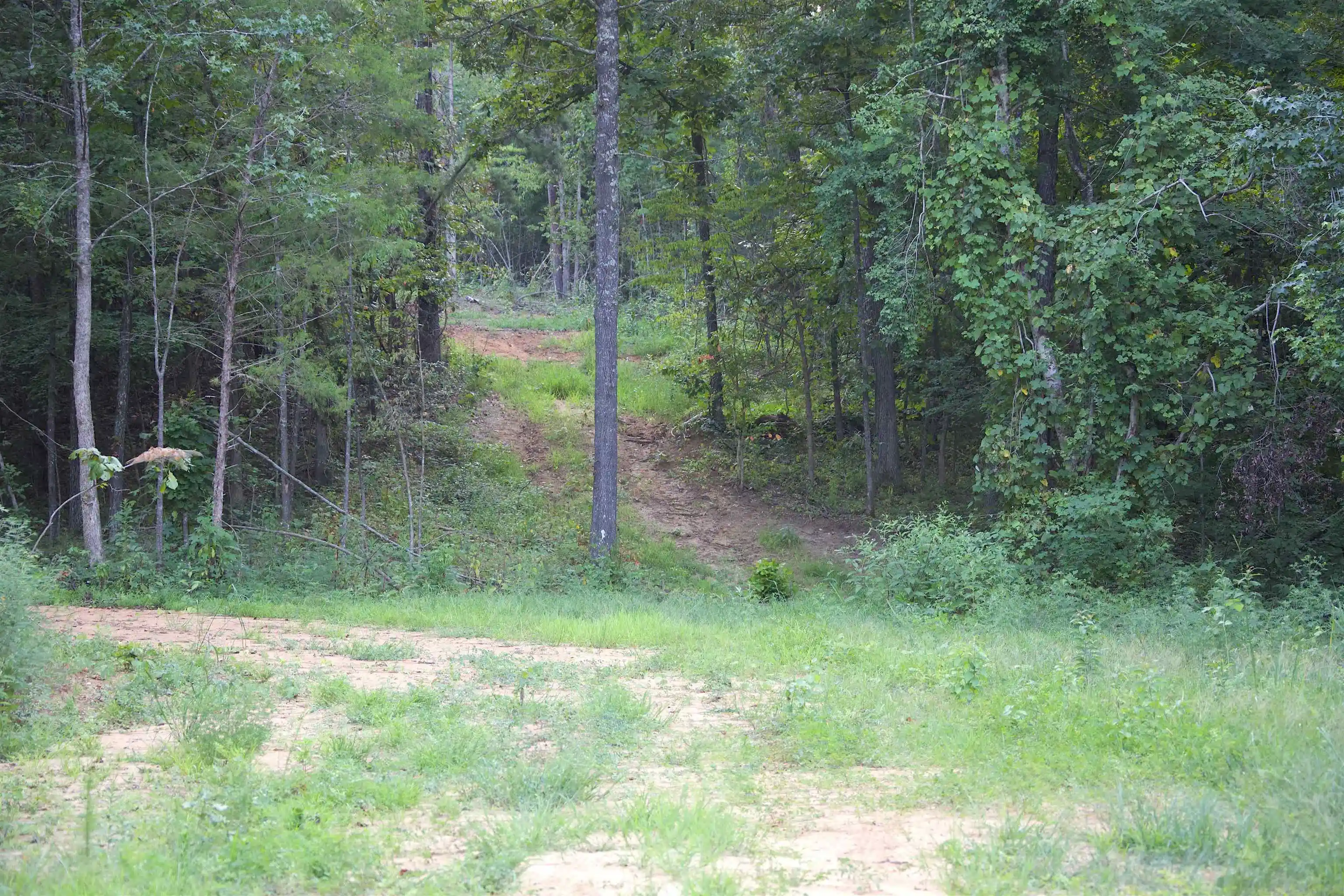 Photo 3 of Land for sale at 2797 Hardaway Church Rd, Michigan City, MS 38647 | MLS# 10229579 | Listing updated on 2026-09-02
