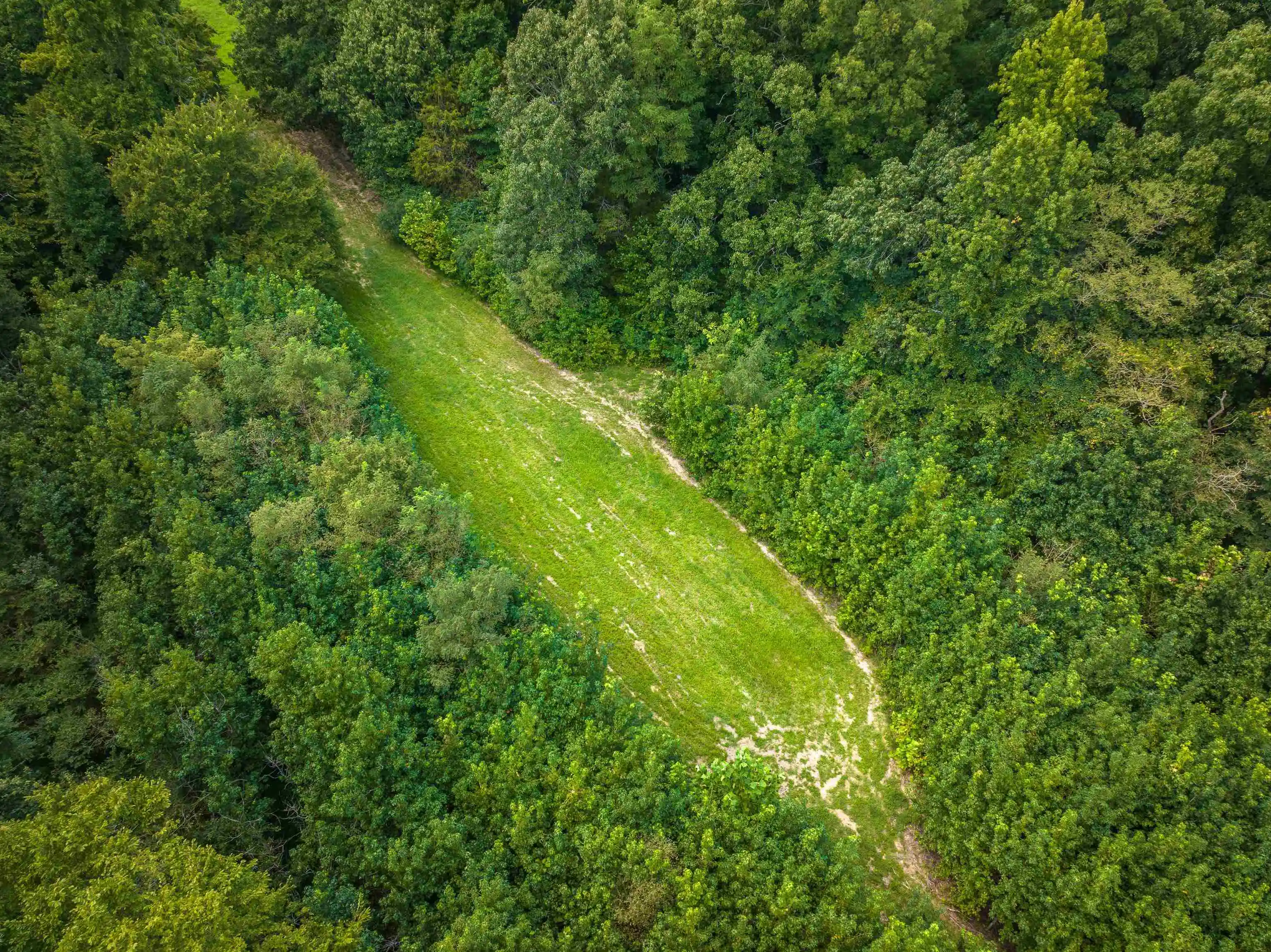 Photo 2 of Land for sale at 0 Old Brownsville Rd, Somerville, TN 38068 | MLS# 10229598 | Listing updated on 2026-09-02