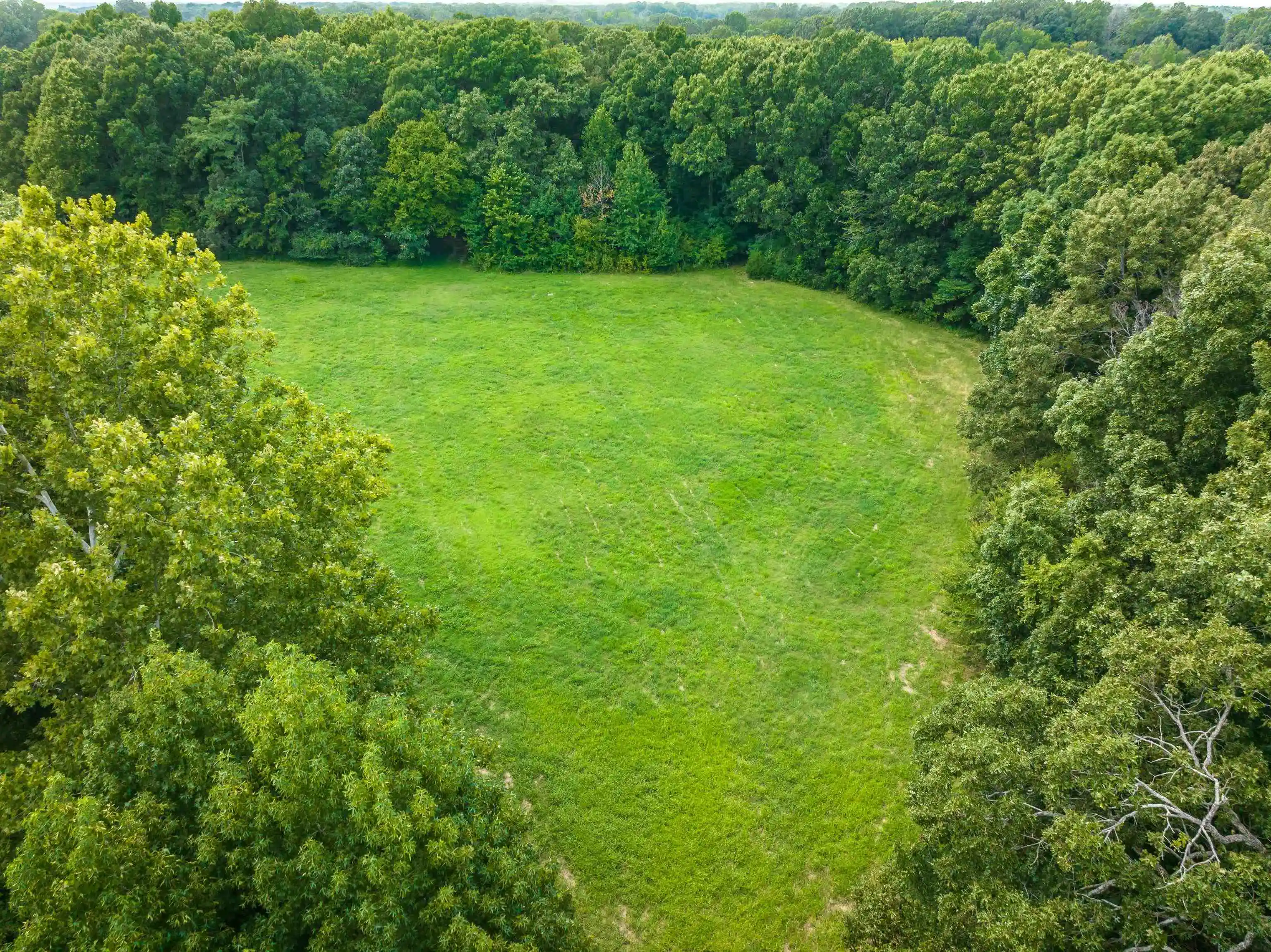 Photo 3 of Land for sale at 0 Old Brownsville Rd, Somerville, TN 38068 | MLS# 10229598 | Listing updated on 2026-09-02