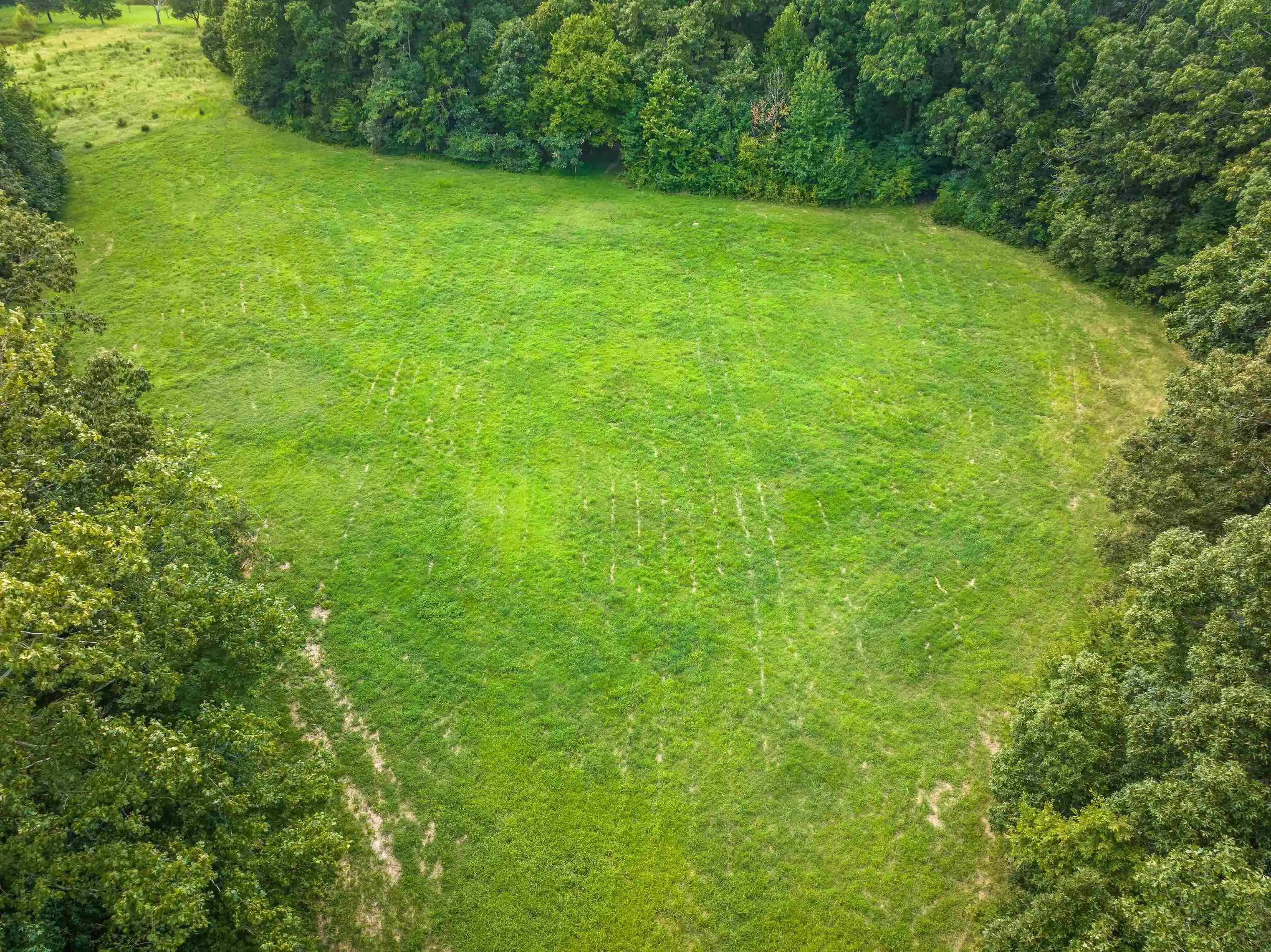 Photo 3 of Land for sale at 0 Old Brownsville Rd, Somerville, TN 38068 | MLS# 10229598 | Listing updated on 2026-09-02