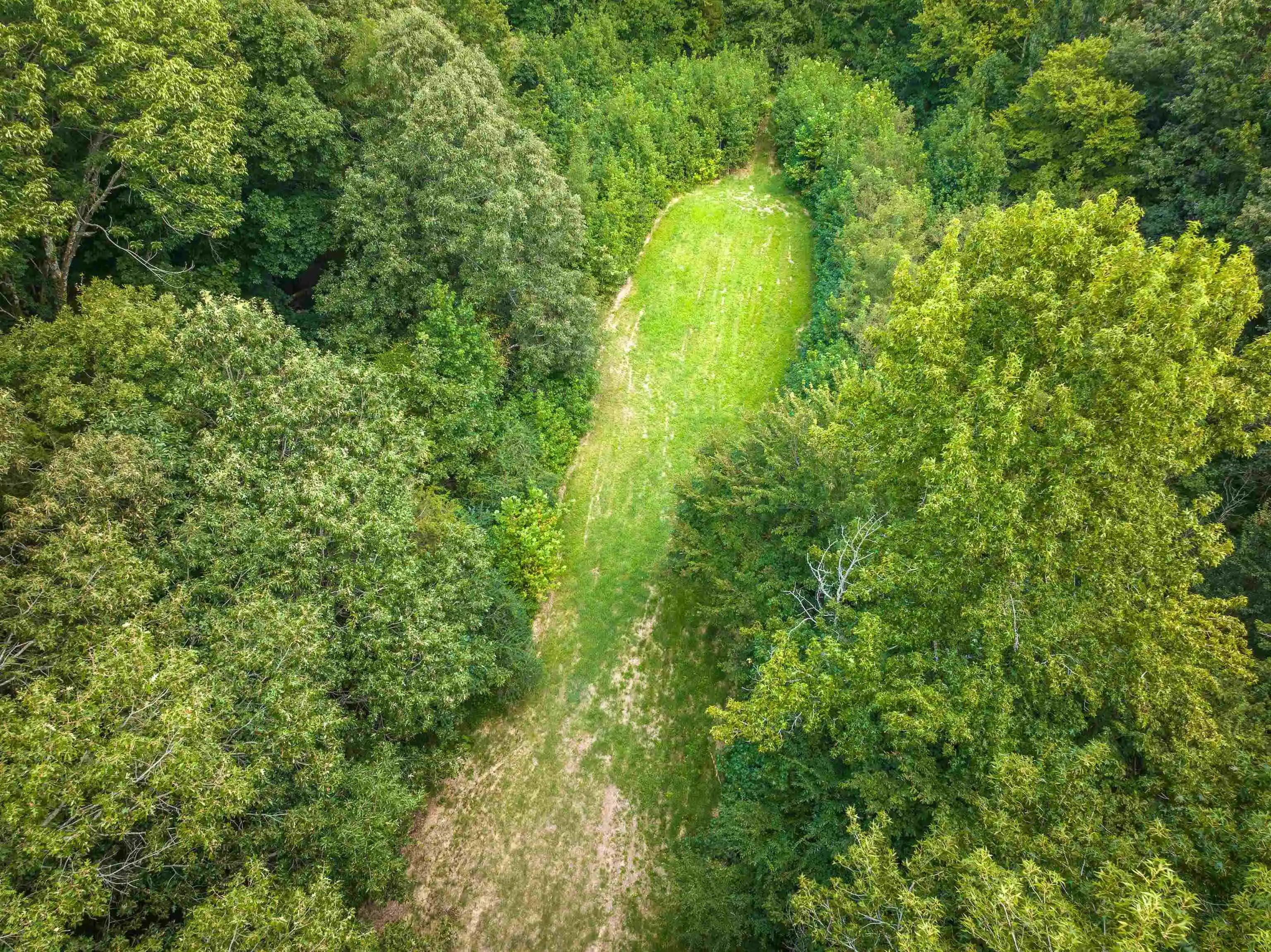 Photo 4 of Land for sale at 0 Old Brownsville Rd, Somerville, TN 38068 | MLS# 10229598 | Listing updated on 2026-09-02