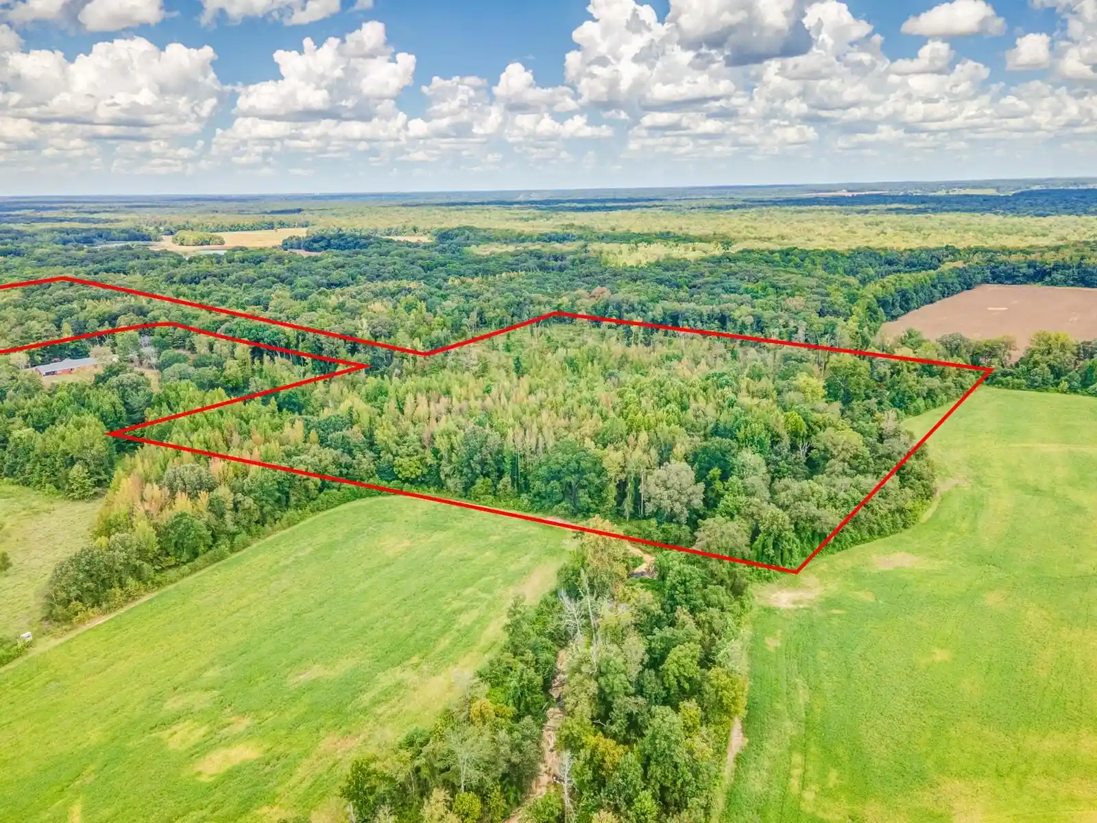 Photo 1 of Land for sale at 0 Hillville Loop, Whiteville, TN 38075 | MLS# 10229606 | Listing updated on 2026-09-03
