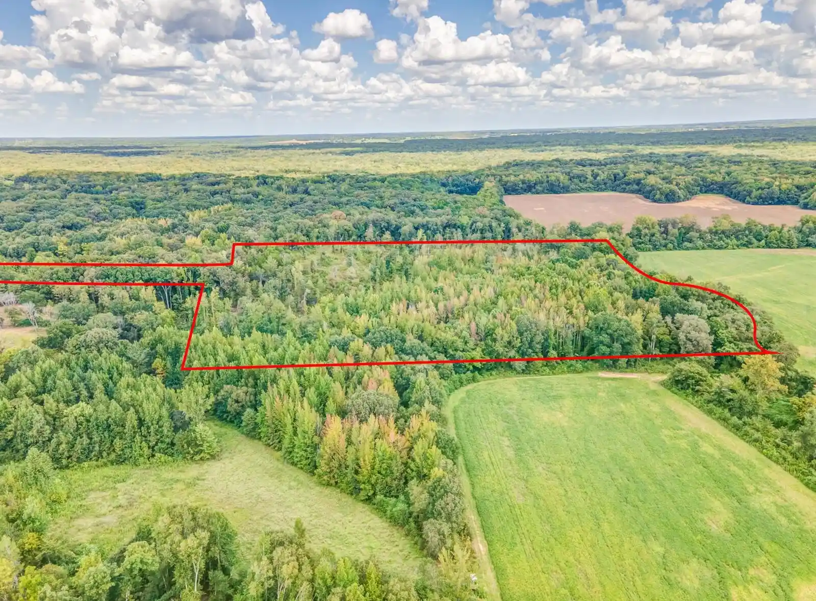 Photo 2 of Land for sale at 0 Hillville Loop, Whiteville, TN 38075 | MLS# 10229606 | Listing updated on 2026-09-03