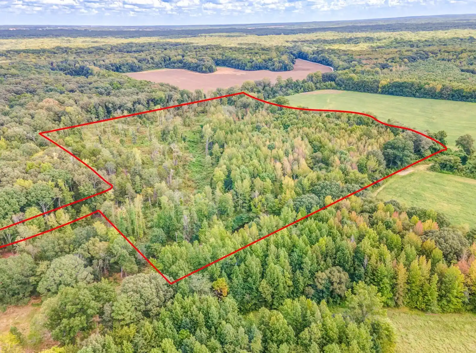 Photo 3 of Land for sale at 0 Hillville Loop, Whiteville, TN 38075 | MLS# 10229606 | Listing updated on 2026-09-03