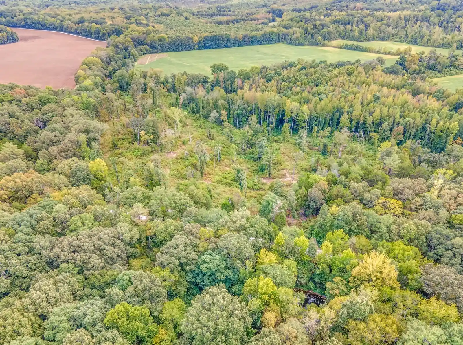 Photo 6 of Land for sale at 0 Hillville Loop, Whiteville, TN 38075 | MLS# 10229606 | Listing updated on 2026-09-03