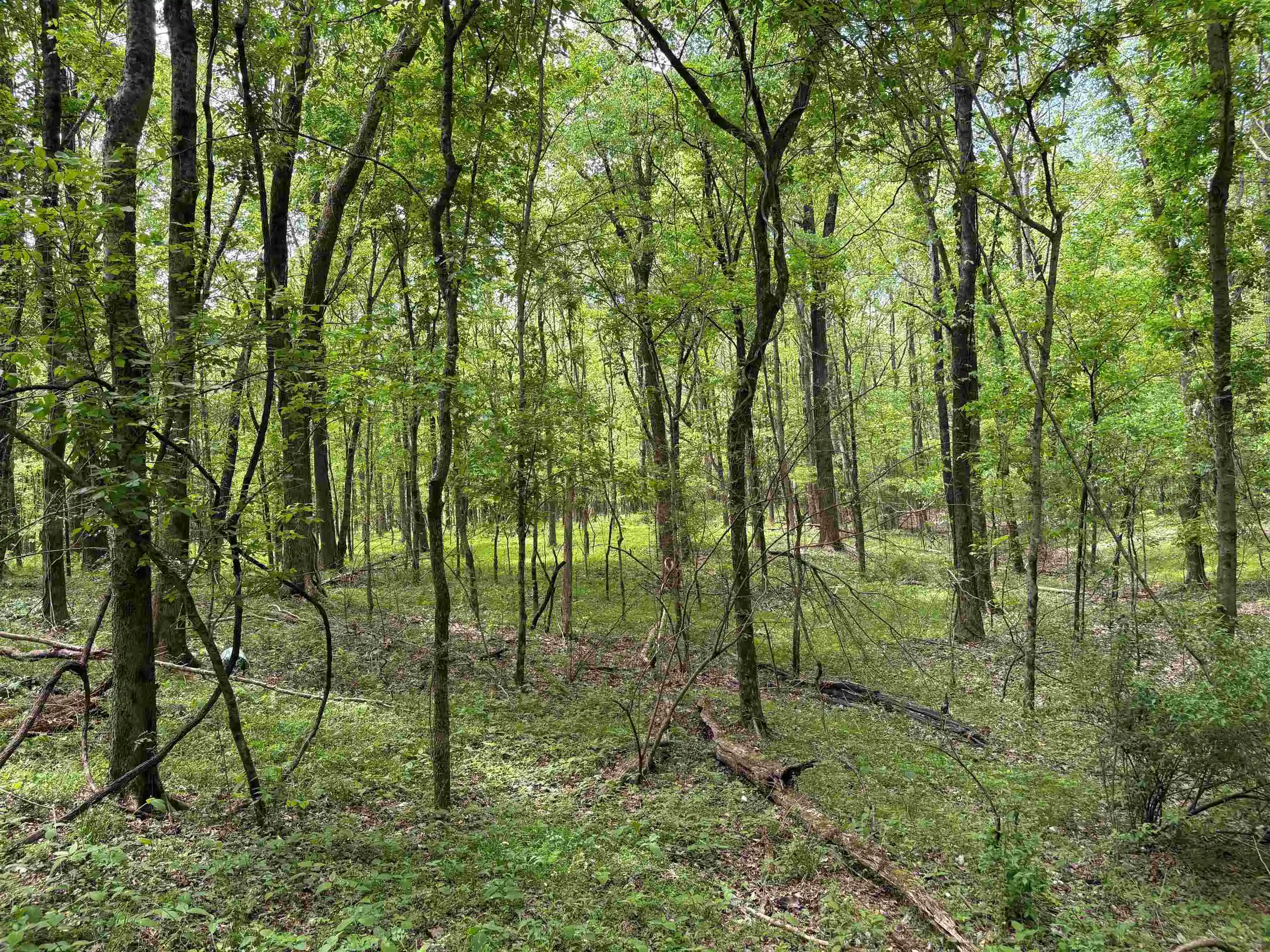 Photo 3 of Land for sale at 0 Osborntown Rd #126, Arlington, TN 38002 | MLS# 10229650 | Listing updated on 2026-09-25