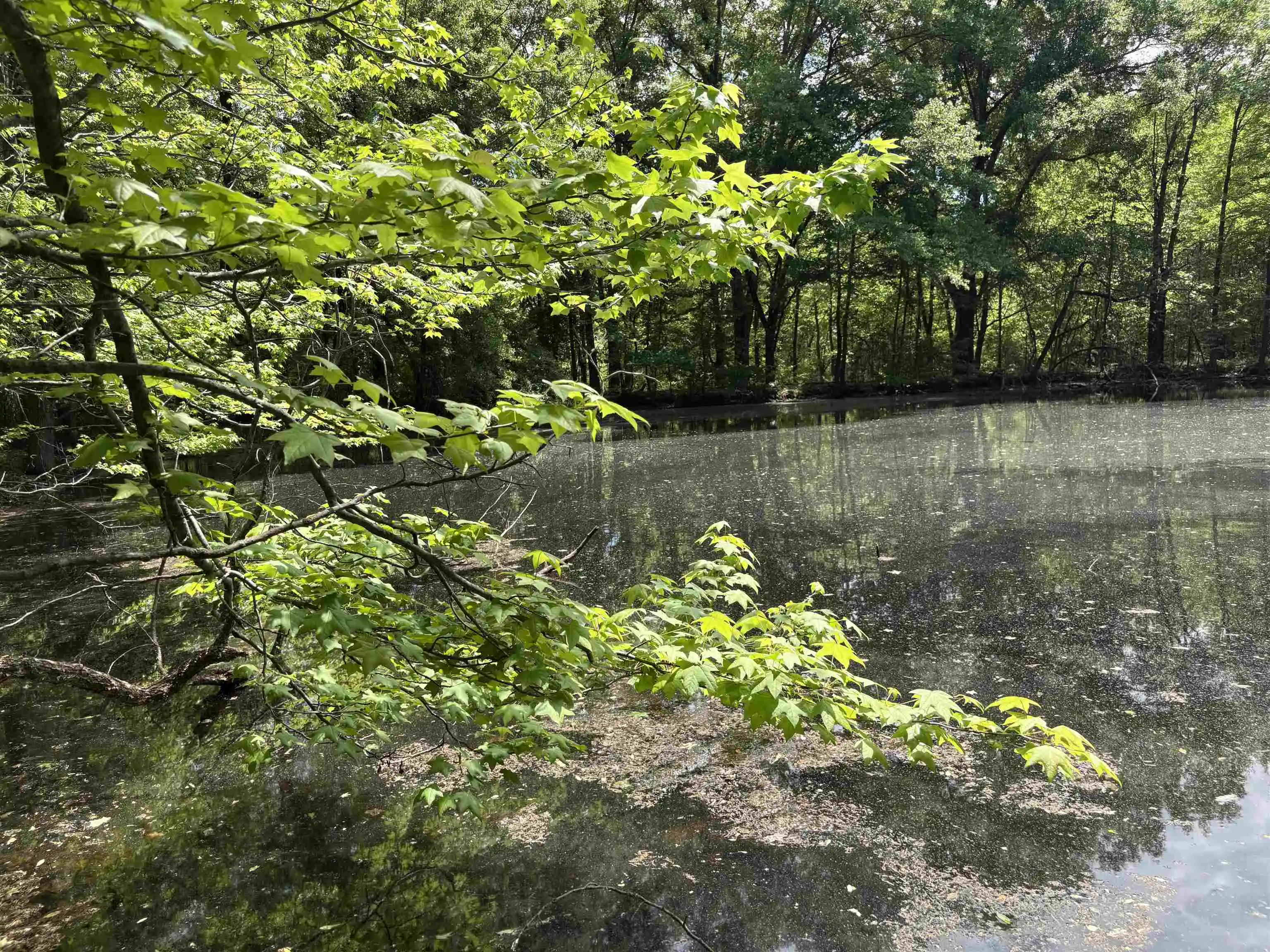 Photo 2 of Land for sale at 0 Osborntown Rd #60, Arlington, TN 38002 | MLS# 10229651 | Listing updated on 2026-09-18