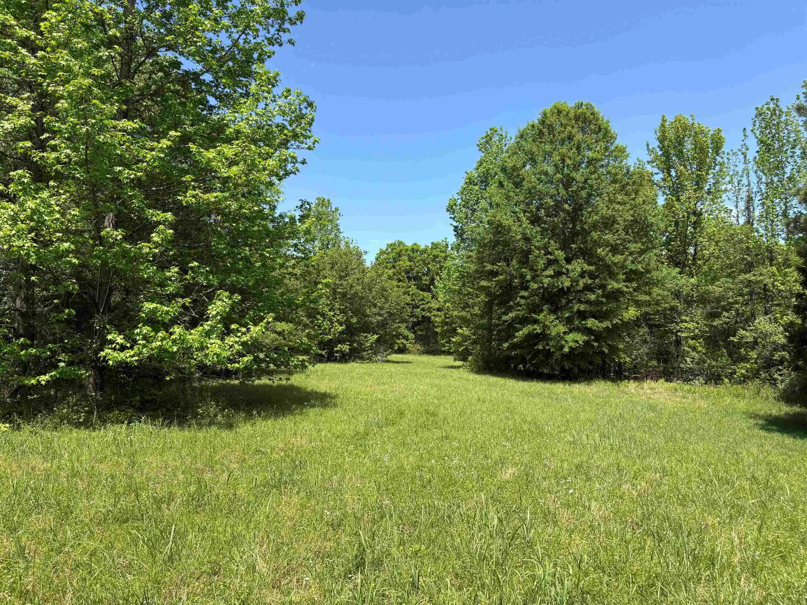 Photo 3 of Land for sale at 0 Osborntown Rd #60, Arlington, TN 38002 | MLS# 10229651 | Listing updated on 2026-09-18