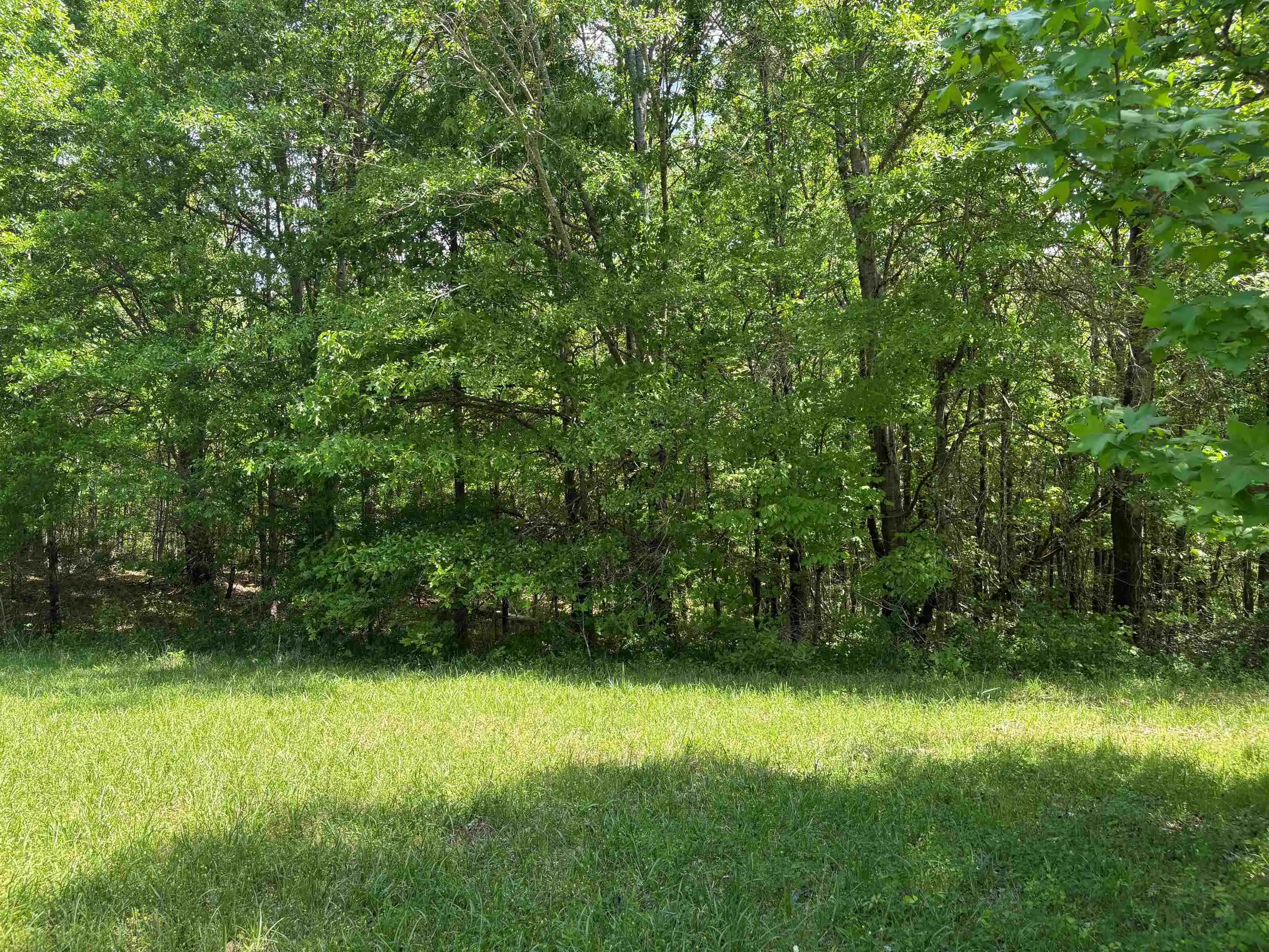 Photo 3 of Land for sale at 0 Osborntown Rd #60, Arlington, TN 38002 | MLS# 10229651 | Listing updated on 2026-09-18