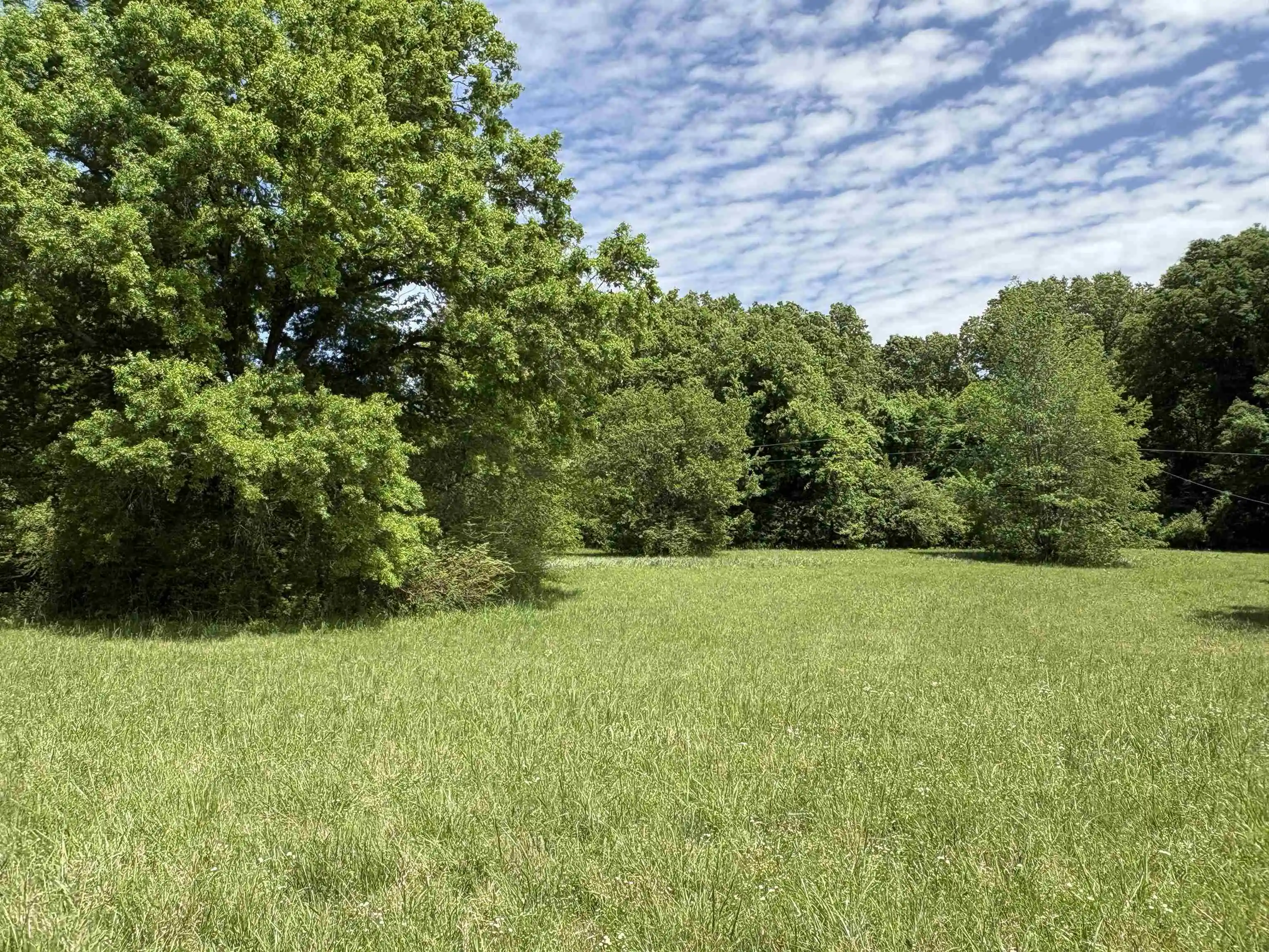 Photo 4 of Land for sale at 0 Osborntown Rd #60, Arlington, TN 38002 | MLS# 10229651 | Listing updated on 2026-09-18
