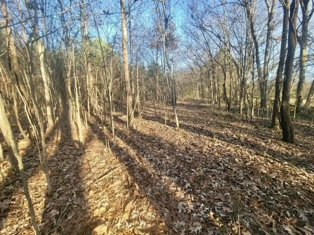Photo 3 of Land for sale at Kay Ln, Somerville, TN 38068 | MLS# 10229660 | Listing updated on 2026-09-03
