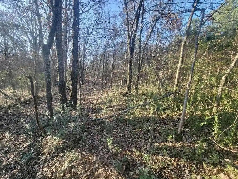 Photo 4 of Land for sale at Kay Ln, Somerville, TN 38068 | MLS# 10229660 | Listing updated on 2026-09-03