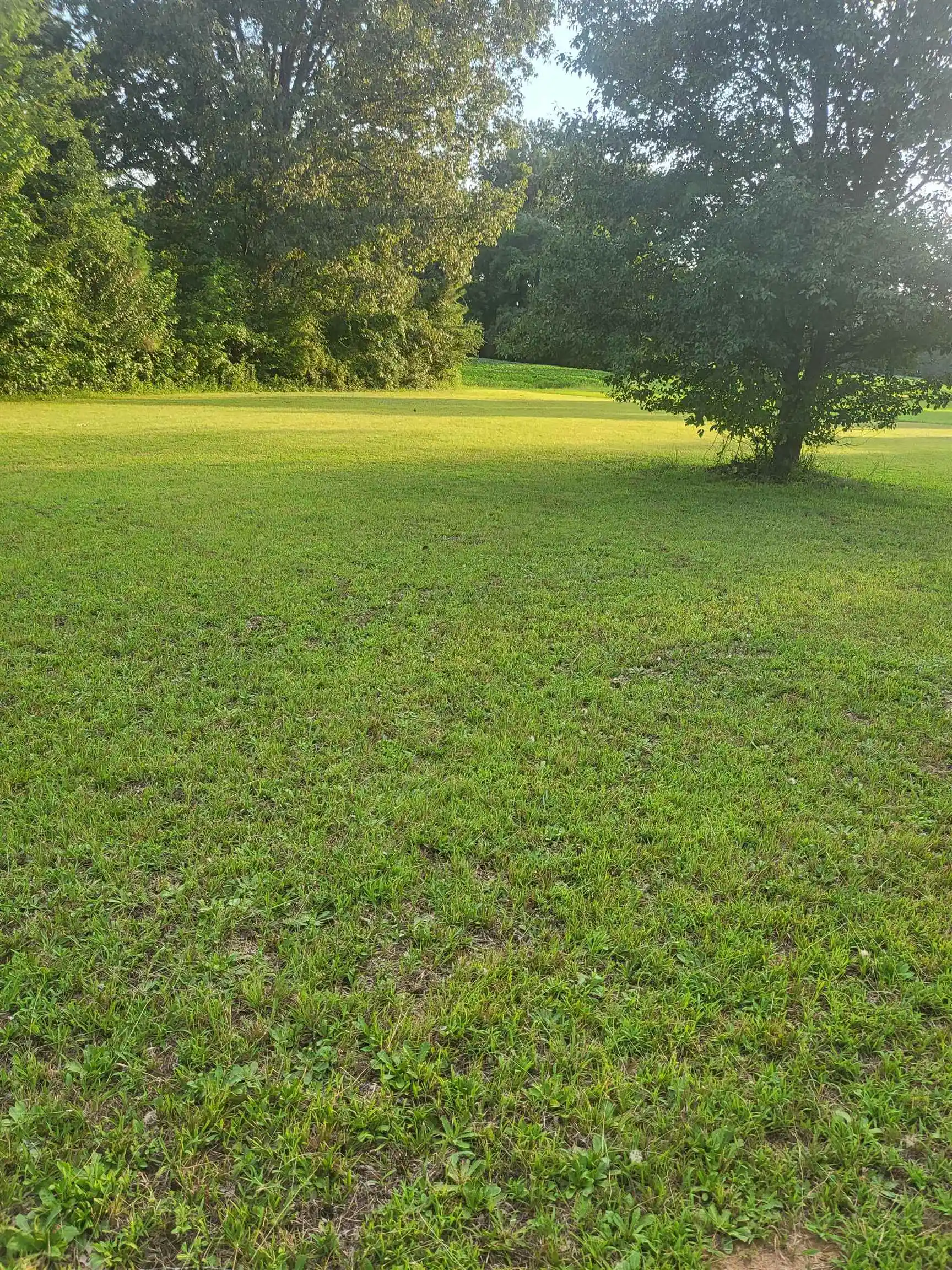Photo 1 of Land for sale at 0 Highway 45, Ramer, TN 38367 | MLS# 10229704 | Listing updated on 2026-09-09