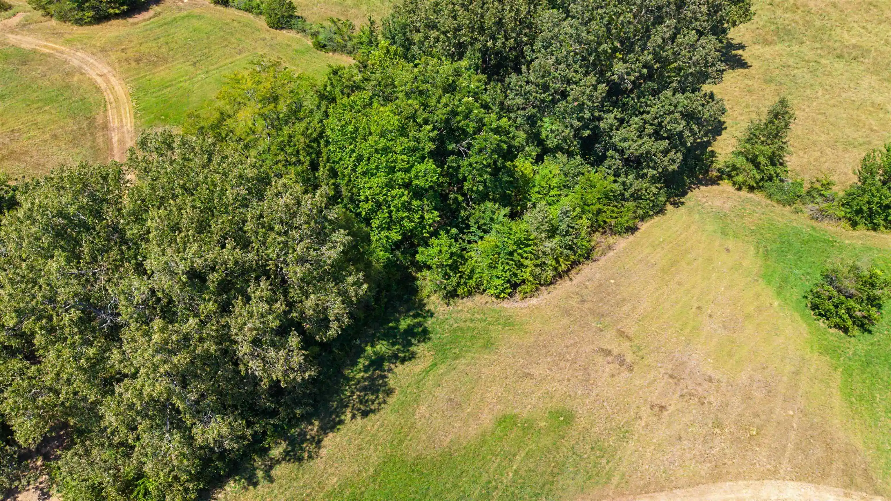 Photo 4 of Land for sale at 3350 Fisherville Rd, Collierville, TN 38017 | MLS# 10229733 | Listing updated on 2026-09-04