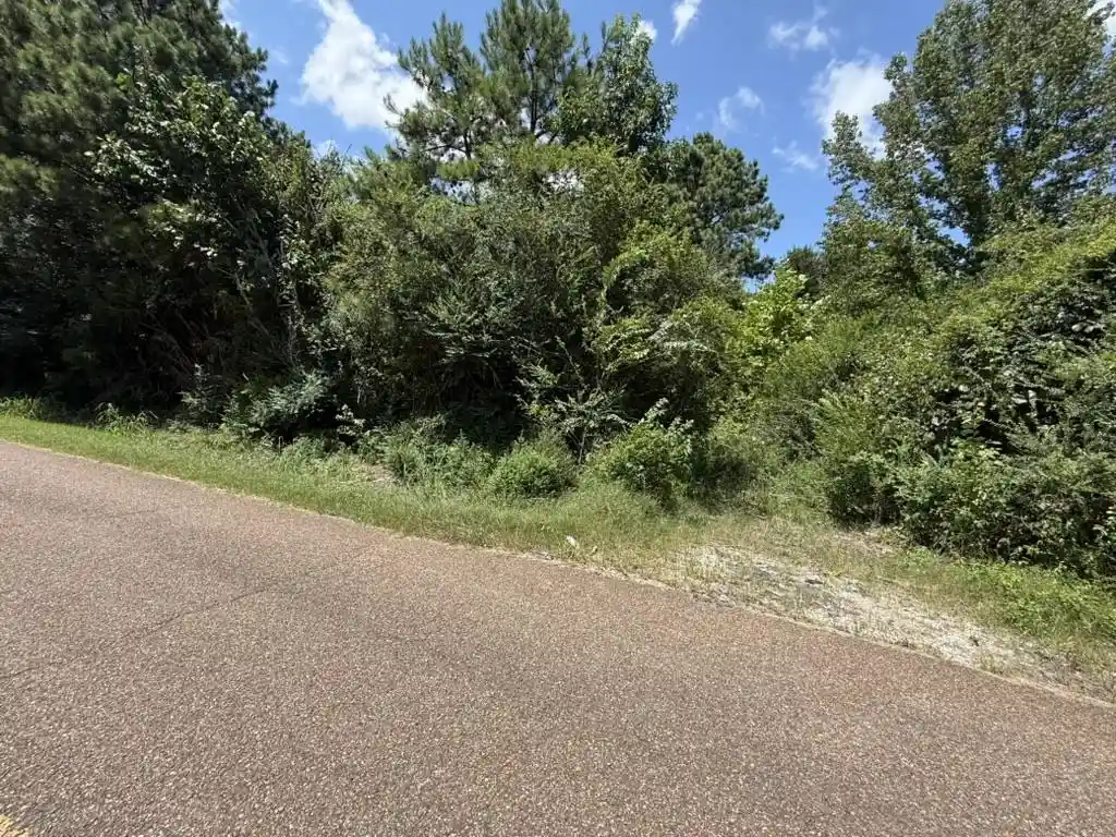Photo 4 of Land for sale at 650 Person Rd, Oakland, TN 38060 | MLS# 10229742 | Listing updated on 2026-09-04