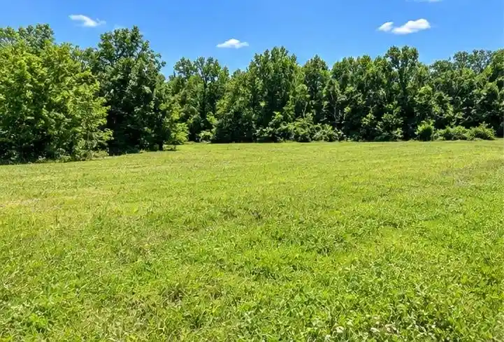 Photo 2 of Land for sale at 22345 Highway 64, Somerville, TN 38068 | MLS# 10229810 | Listing updated on 2026-09-04
