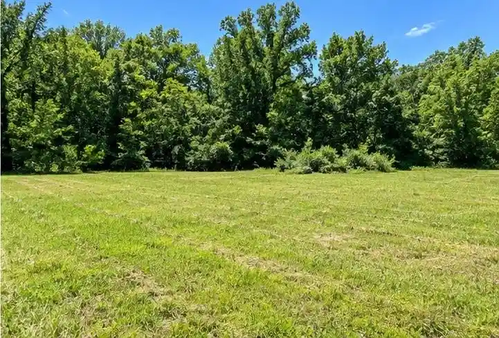 Photo 3 of Land for sale at 22345 Highway 64, Somerville, TN 38068 | MLS# 10229810 | Listing updated on 2026-09-04