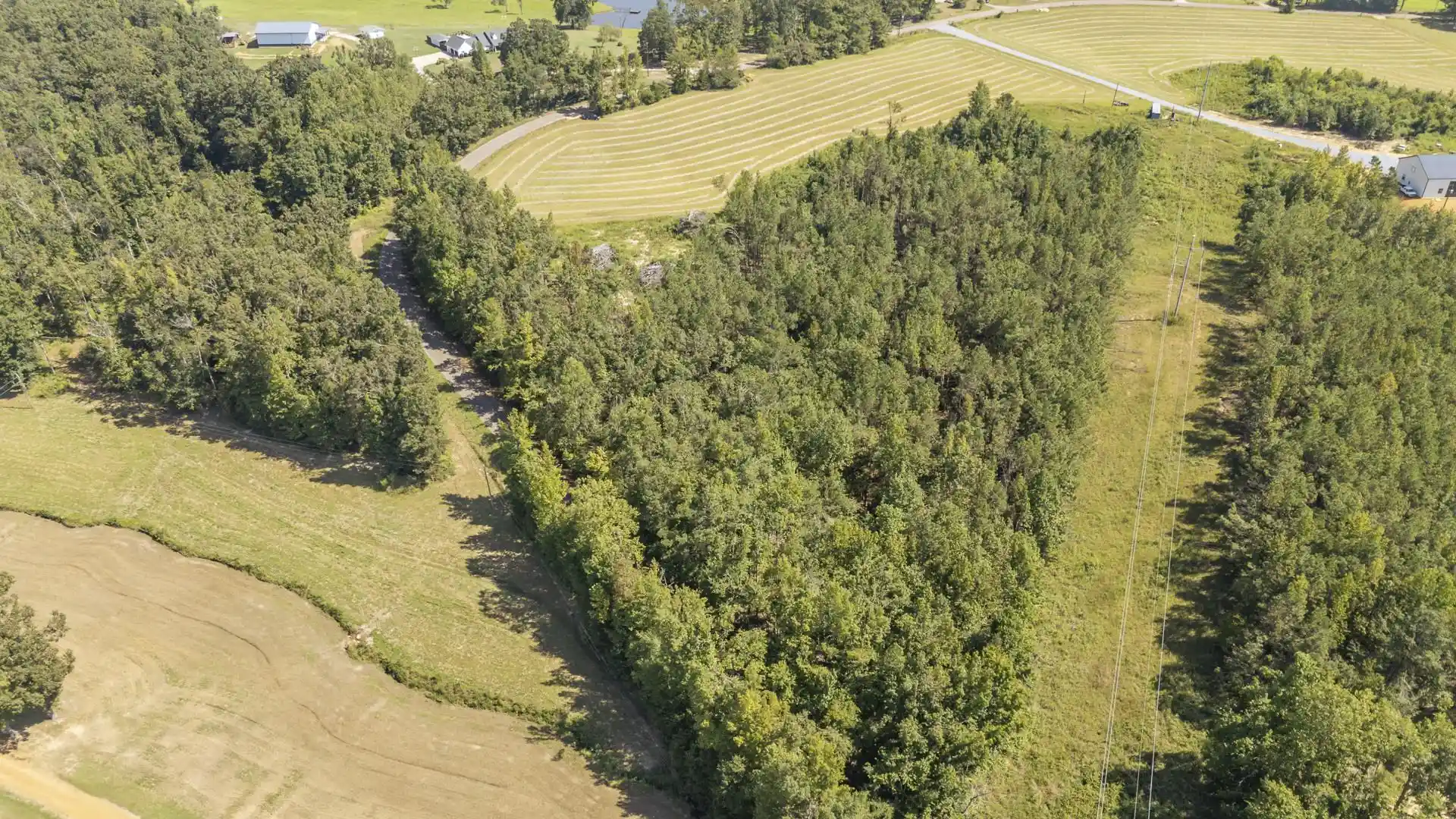 Photo 2 of Land for sale at 5555 Damon Rd, Michie, TN 38357 | MLS# 10229893 | Listing updated on 2026-09-06