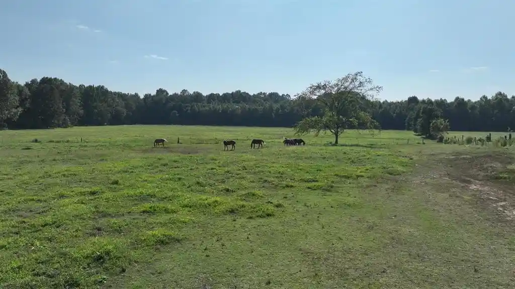 Photo 2 of Land for sale at 2000 Highway 64, Eads, TN 38028 | MLS# 10229906 | Listing updated on 2026-09-07