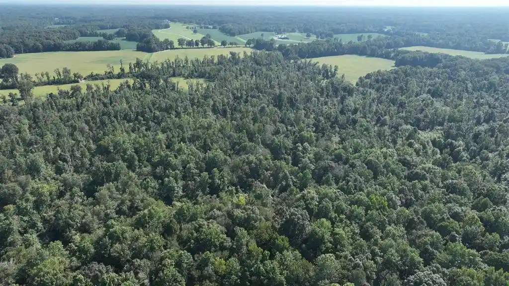 Photo 4 of Land for sale at 2000 Highway 64, Eads, TN 38028 | MLS# 10229906 | Listing updated on 2026-09-07