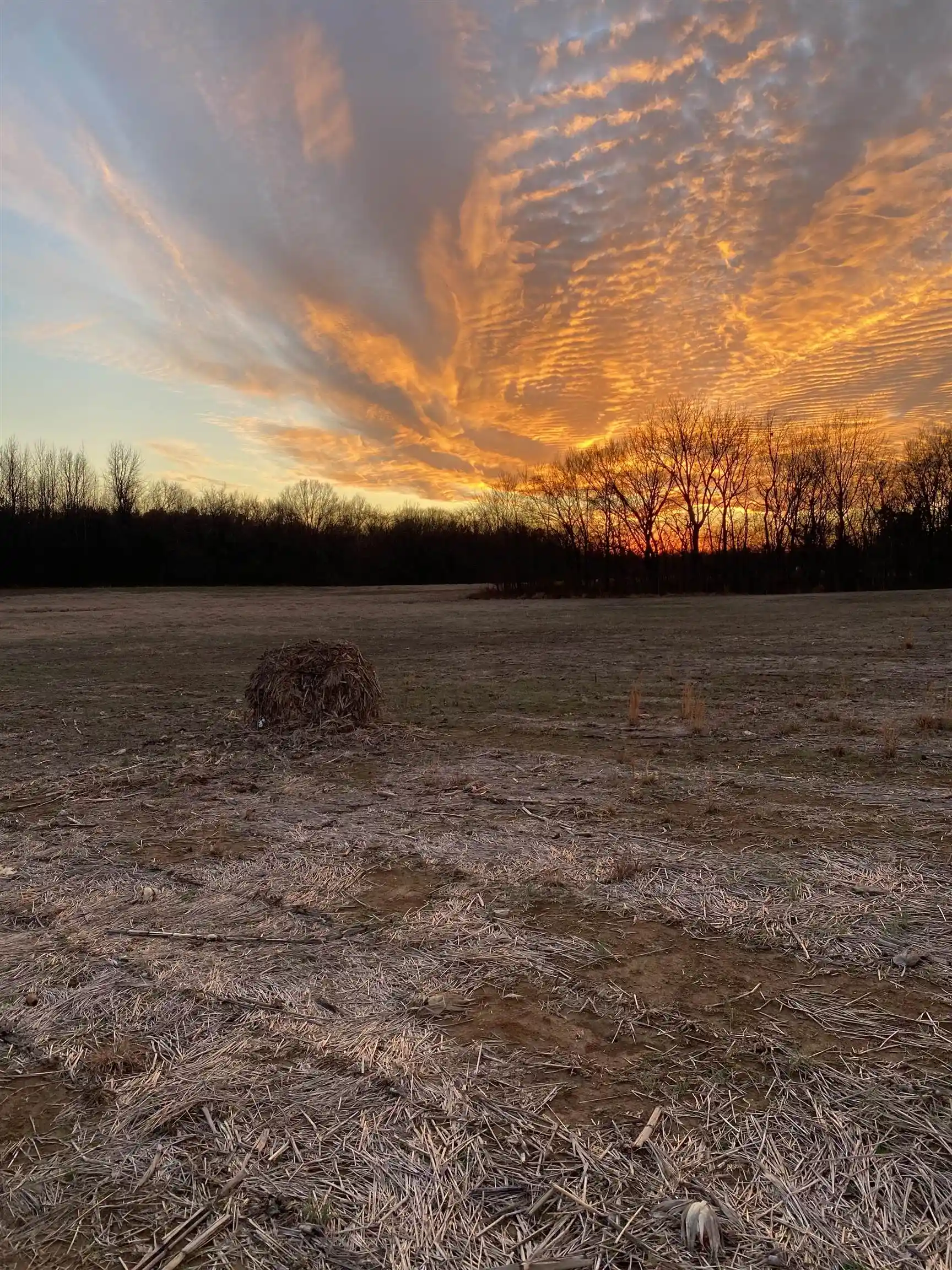 Photo 1 of Land for sale at 5925 Feathers Chapel Dr, Somerville, TN 38068 | MLS# 10229987 | Listing updated on 2026-09-08
