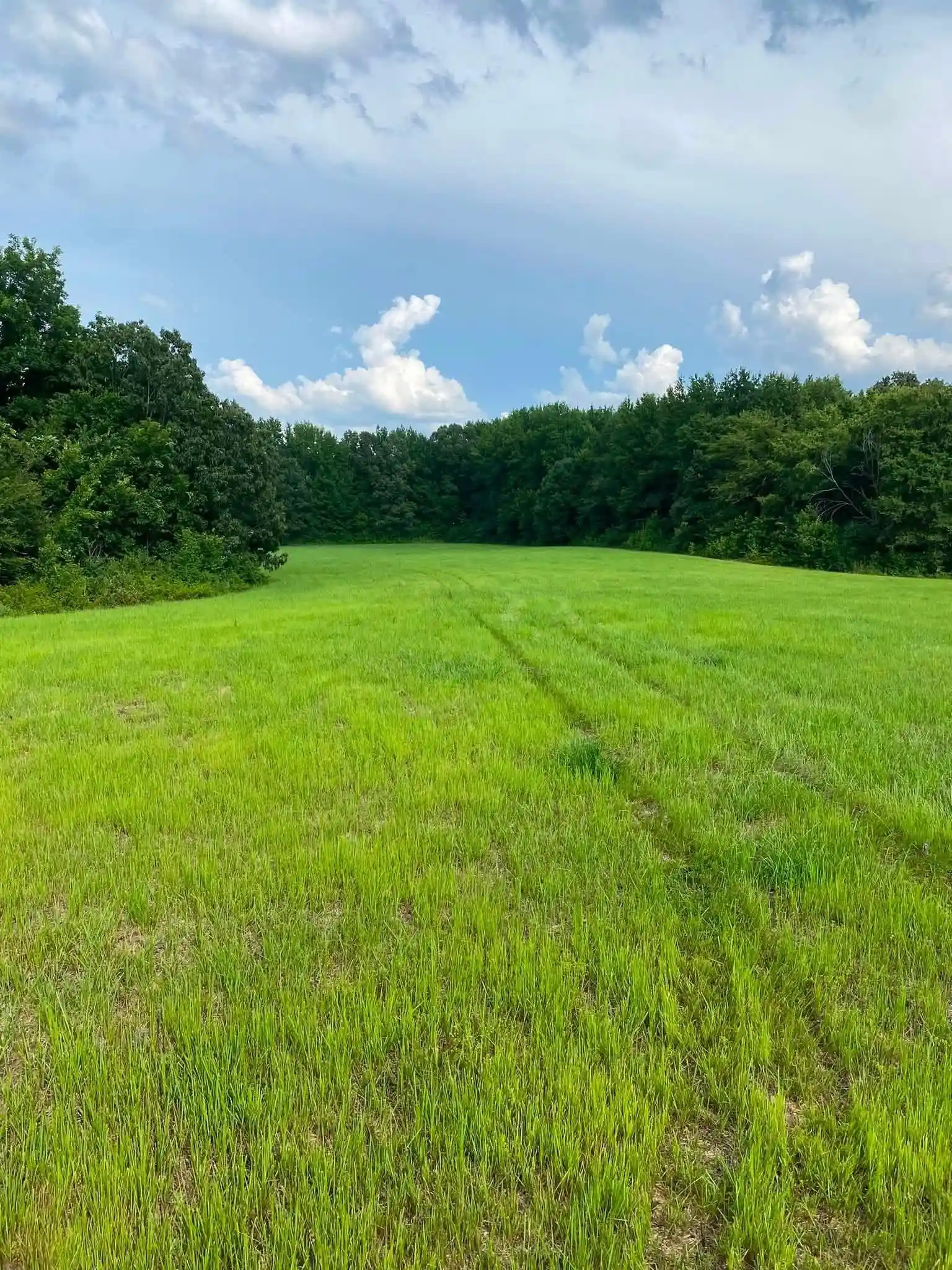 Photo 2 of Land for sale at 5925 Feathers Chapel Dr, Somerville, TN 38068 | MLS# 10229987 | Listing updated on 2026-09-08