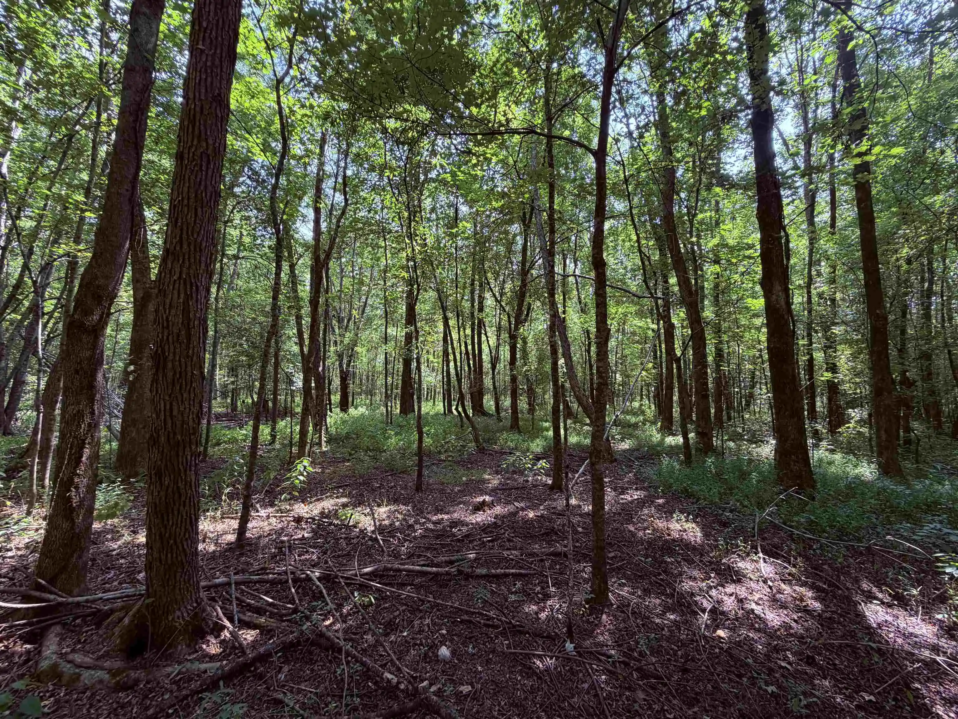 Photo 3 of Land for sale at 2415 Winwood Farms Loop, Middleton, TN 38052 | MLS# 10229995 | Listing updated on 2026-09-08