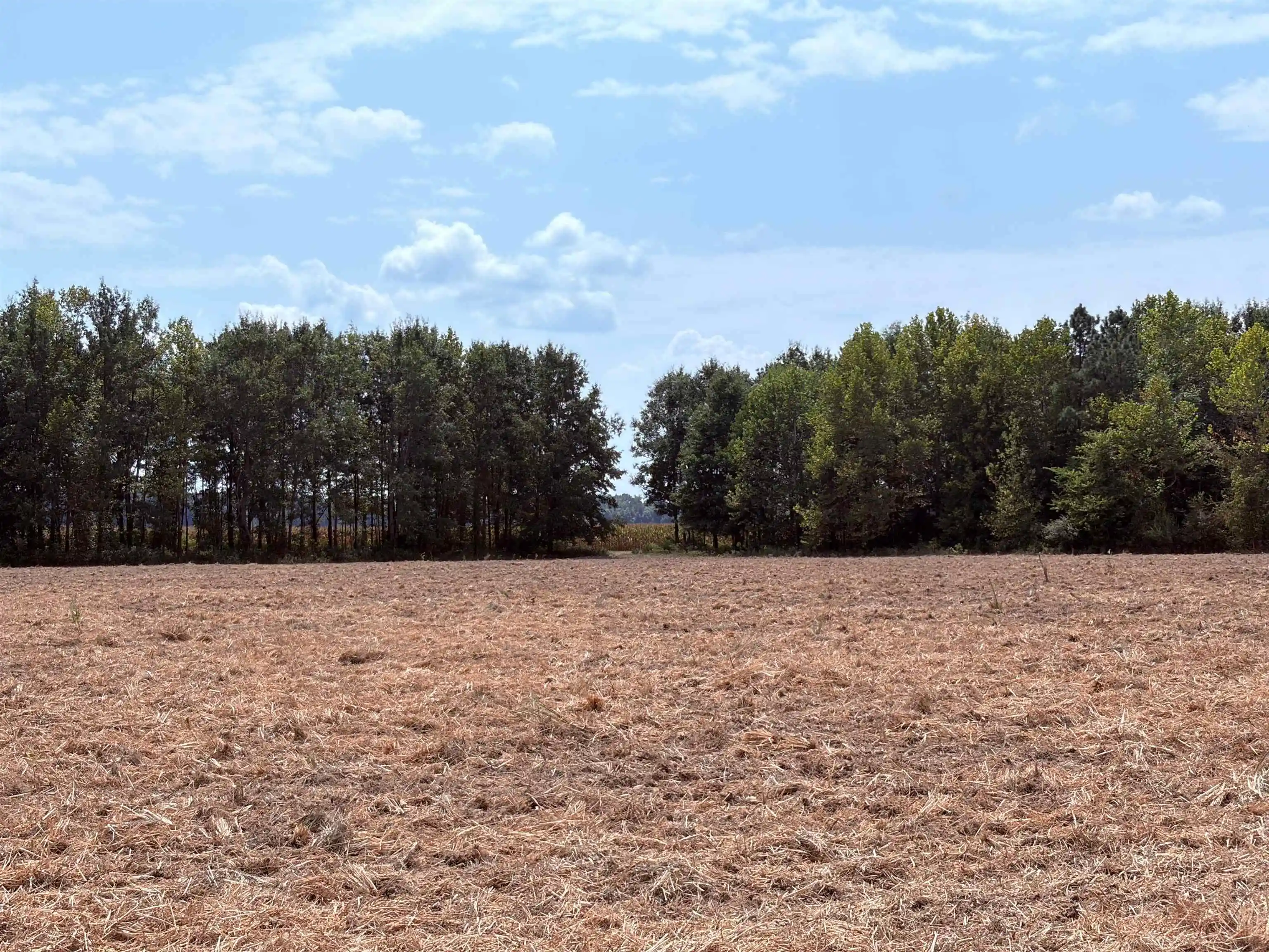 Photo 3 of Land for sale at 2415 Winwood Farms Loop, Middleton, TN 38052 | MLS# 10229995 | Listing updated on 2026-09-08