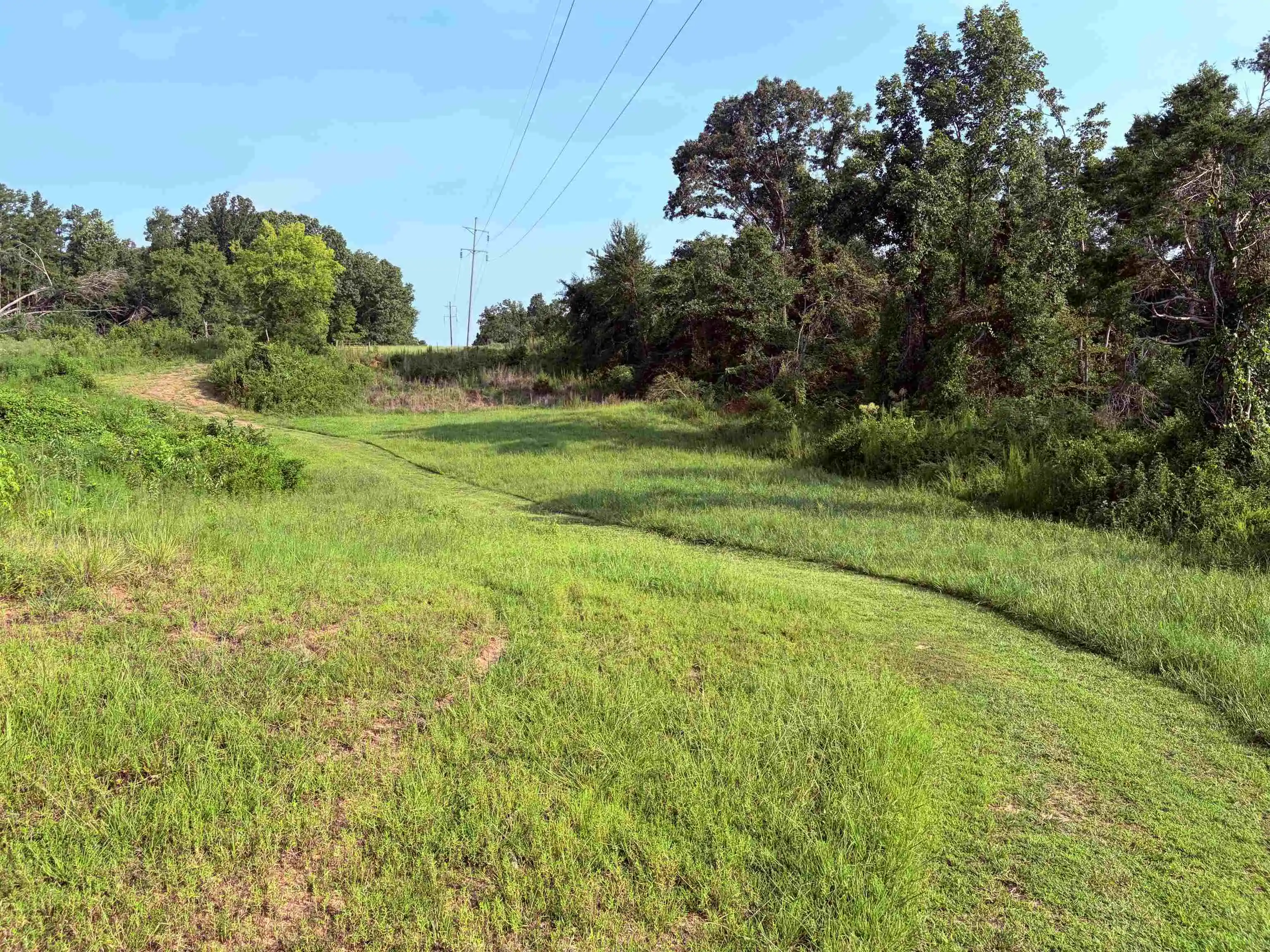 Photo 3 of Land for sale at 0 Van Buren Rd, Saulsbury, TN 38067 | MLS# 10229998 | Listing updated on 2026-09-08