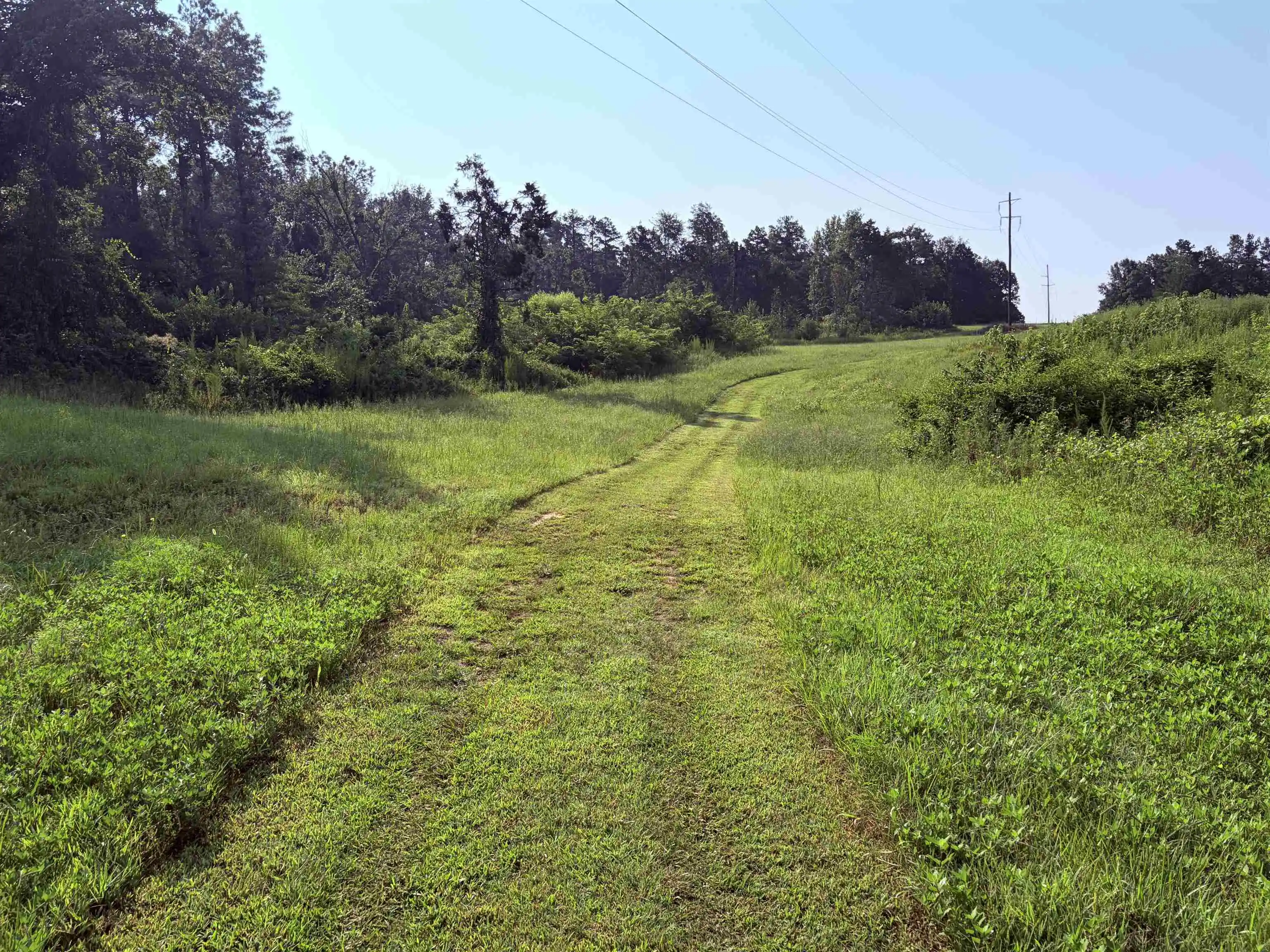 Photo 4 of Land for sale at 0 Van Buren Rd, Saulsbury, TN 38067 | MLS# 10229998 | Listing updated on 2026-09-08
