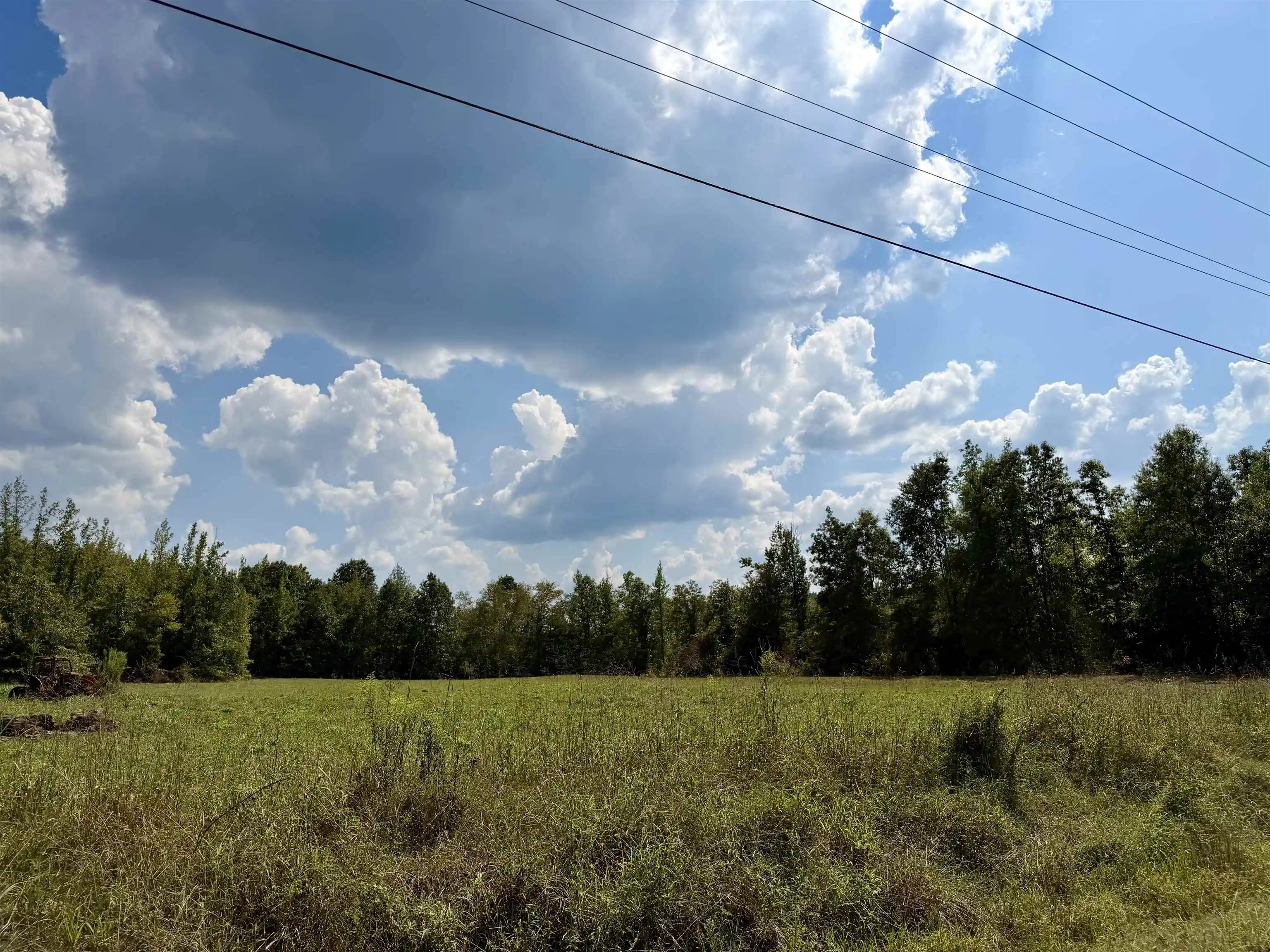 Photo 1 of Land for sale at 3592 Rose Crk Rd, Selmer, TN 38375 | MLS# 10230031 | Listing updated on 2026-09-09