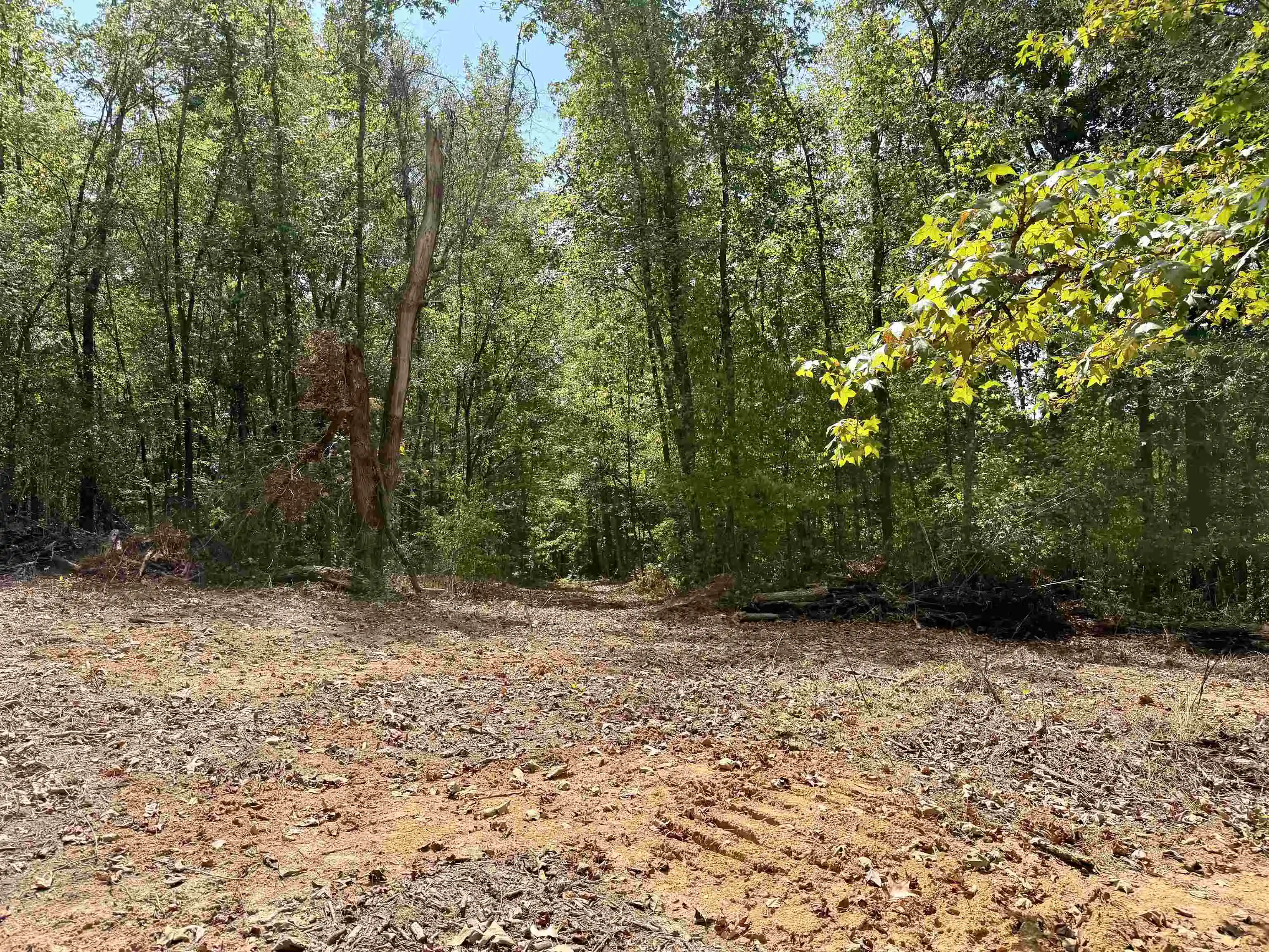 Photo 3 of Land for sale at 3592 Rose Crk Rd, Selmer, TN 38375 | MLS# 10230031 | Listing updated on 2026-09-09