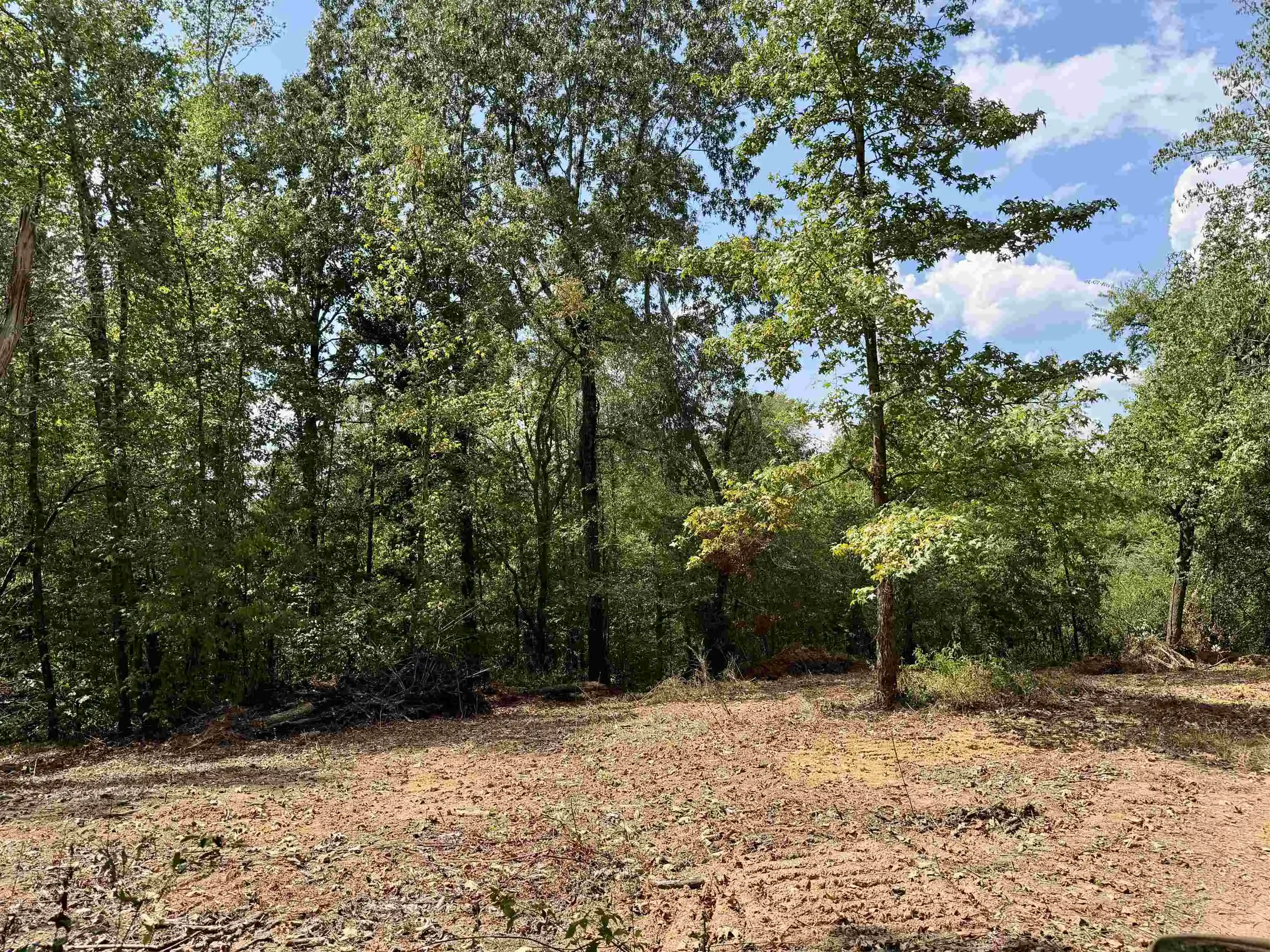 Photo 3 of Land for sale at 3592 Rose Crk Rd, Selmer, TN 38375 | MLS# 10230031 | Listing updated on 2026-09-09
