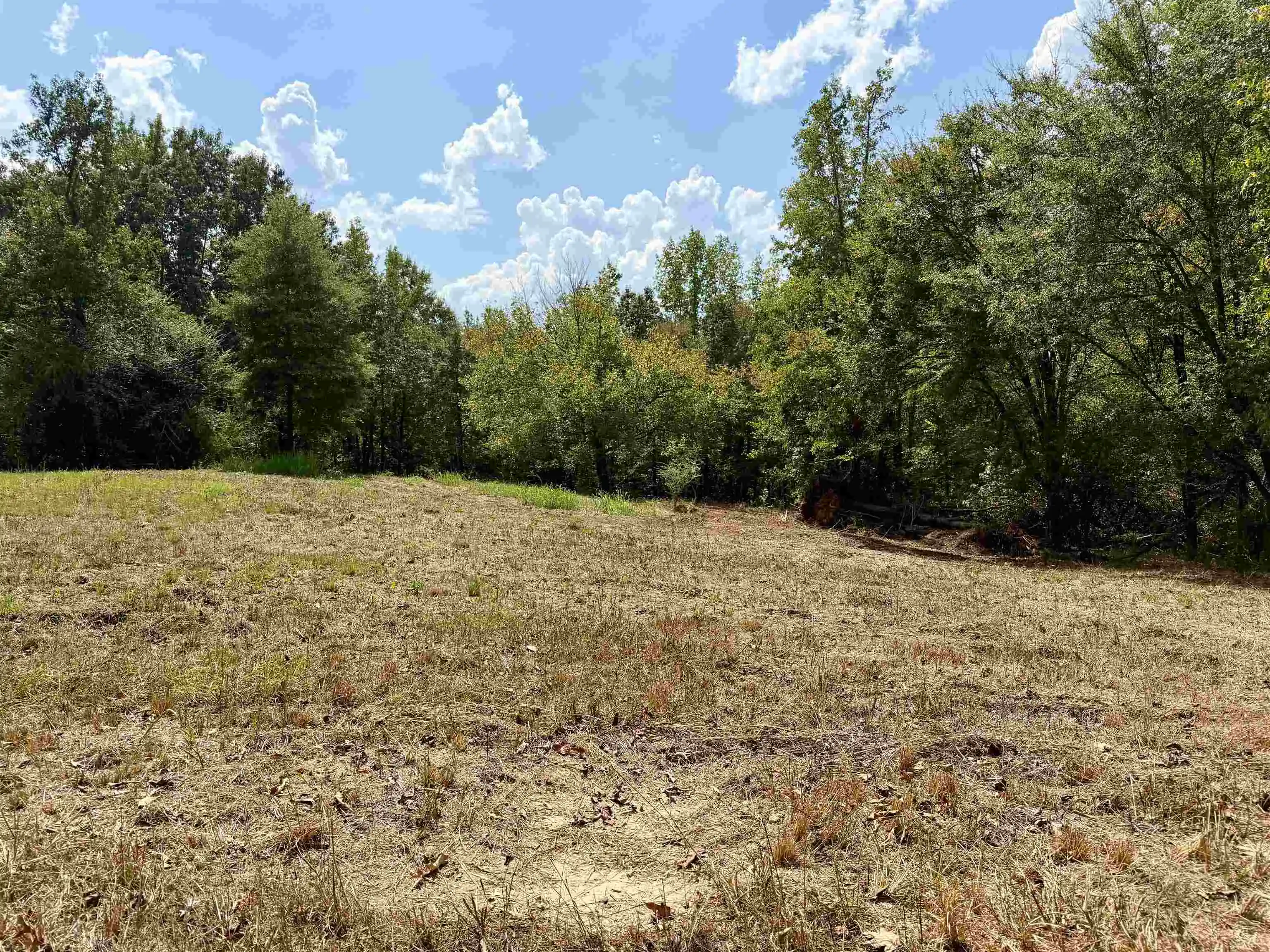 Photo 4 of Land for sale at 3592 Rose Crk Rd, Selmer, TN 38375 | MLS# 10230031 | Listing updated on 2026-09-09