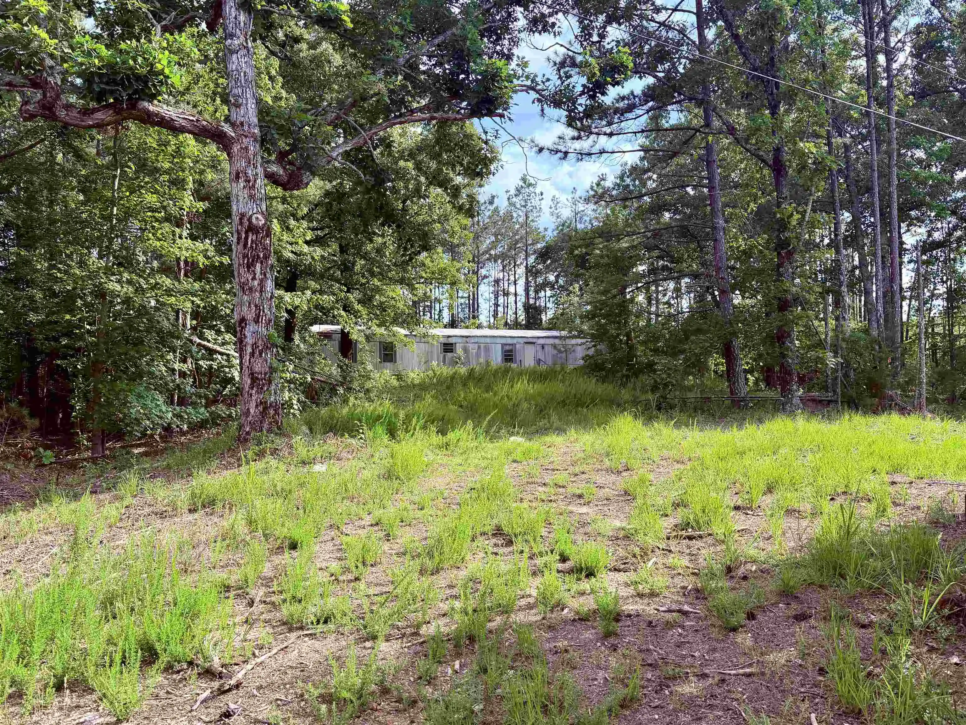 Photo 3 of Land for sale at 950 Feddie Davis Rd, Selmer, TN 38375 | MLS# 10230100 | Listing updated on 2026-09-10