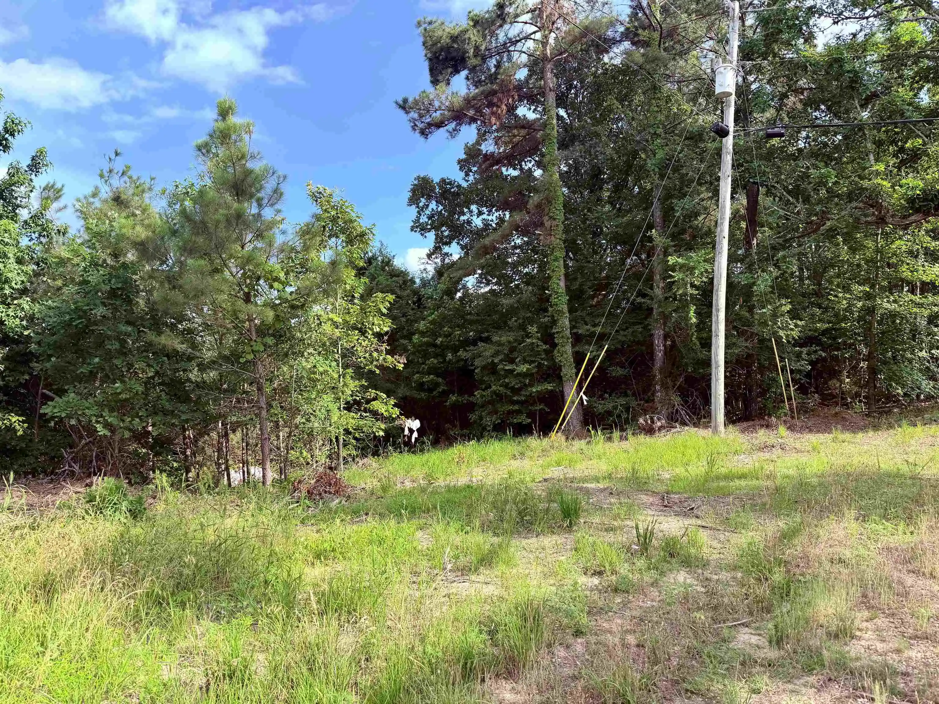 Photo 3 of Land for sale at 950 Feddie Davis Rd, Selmer, TN 38375 | MLS# 10230100 | Listing updated on 2026-09-10
