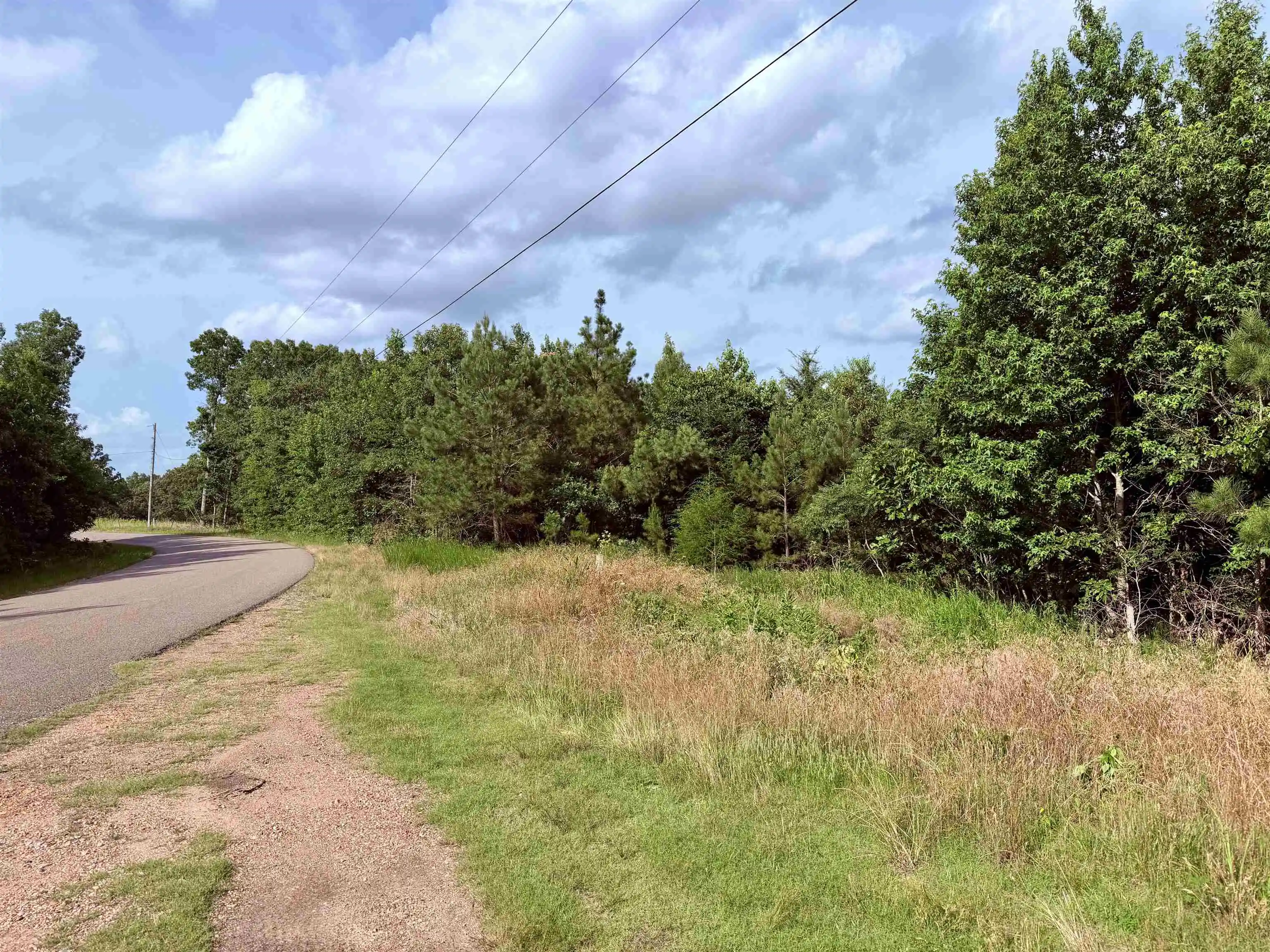 Photo 4 of Land for sale at 950 Feddie Davis Rd, Selmer, TN 38375 | MLS# 10230100 | Listing updated on 2026-09-10